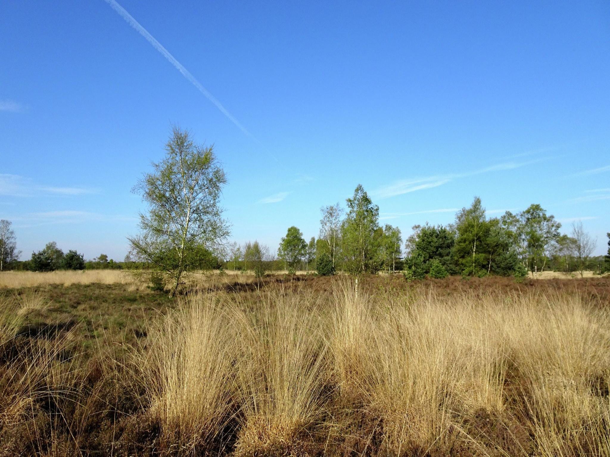   Landhoeve buitenman
