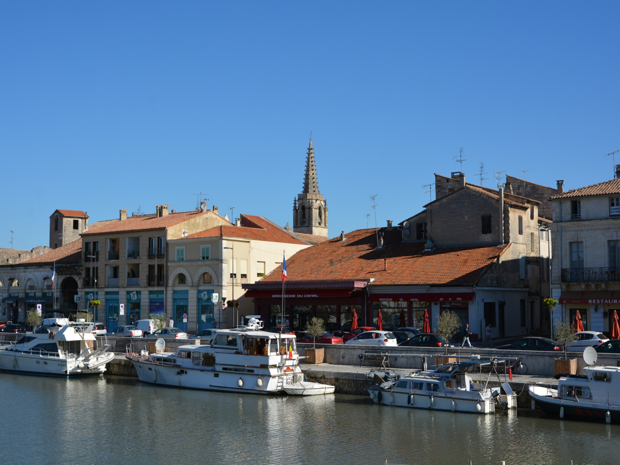   Le Chêne