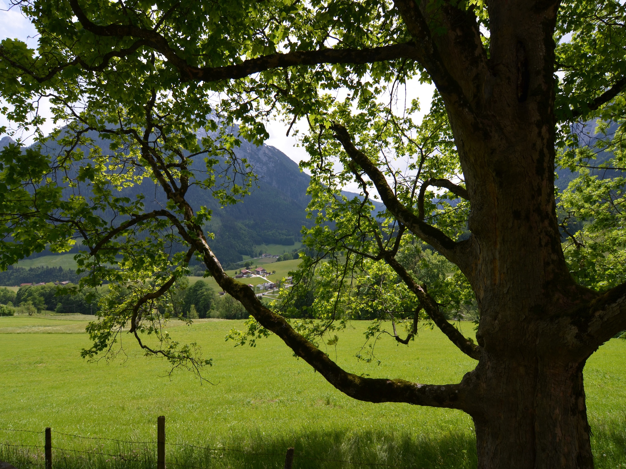 Ferienwohnung Schönau am Königssee