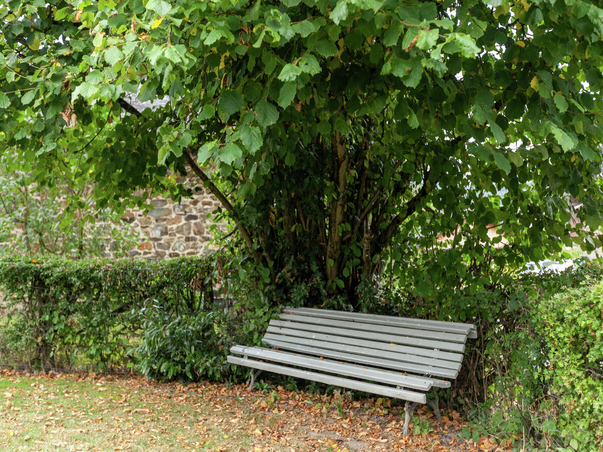 Vakantiehuis Orchidee