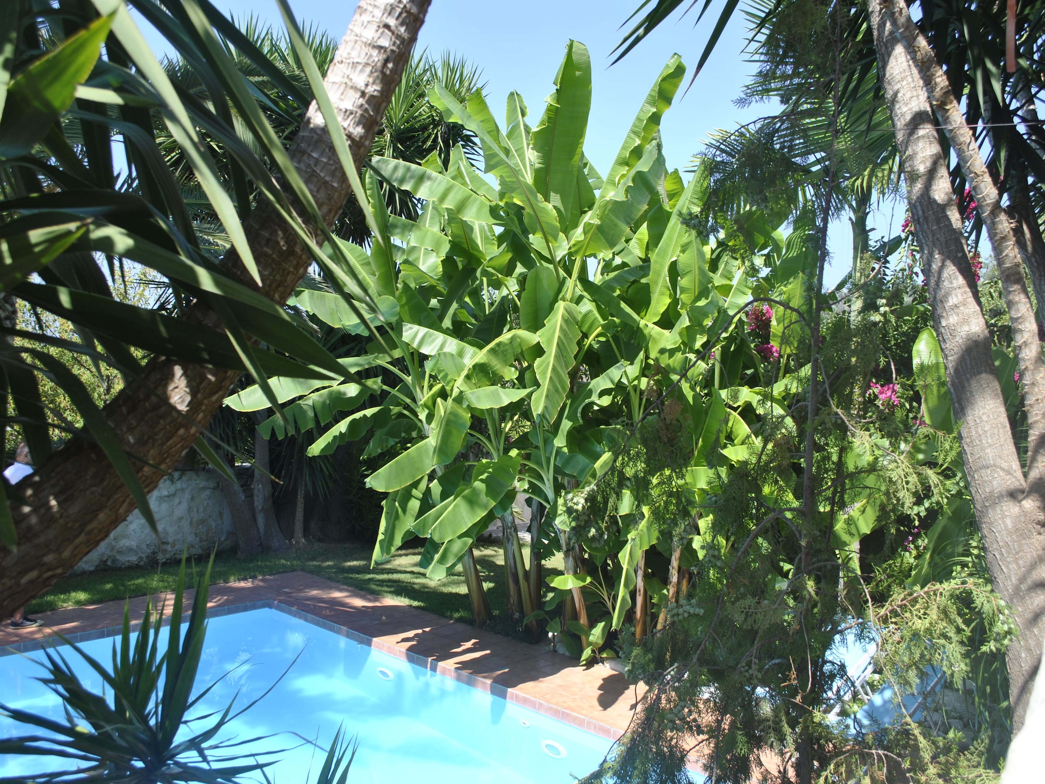 Casa di vacanze Villa Kostas