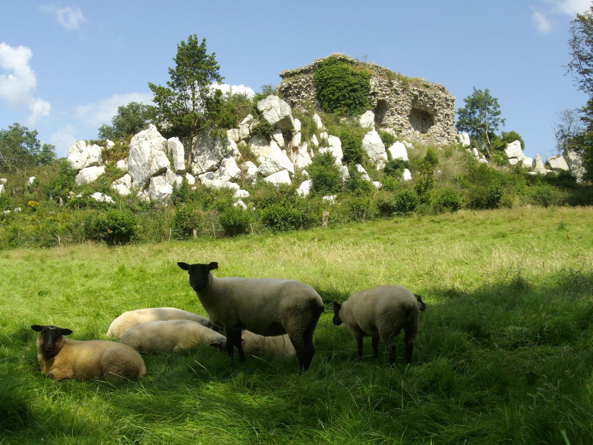 Holiday home La Croix Blanche