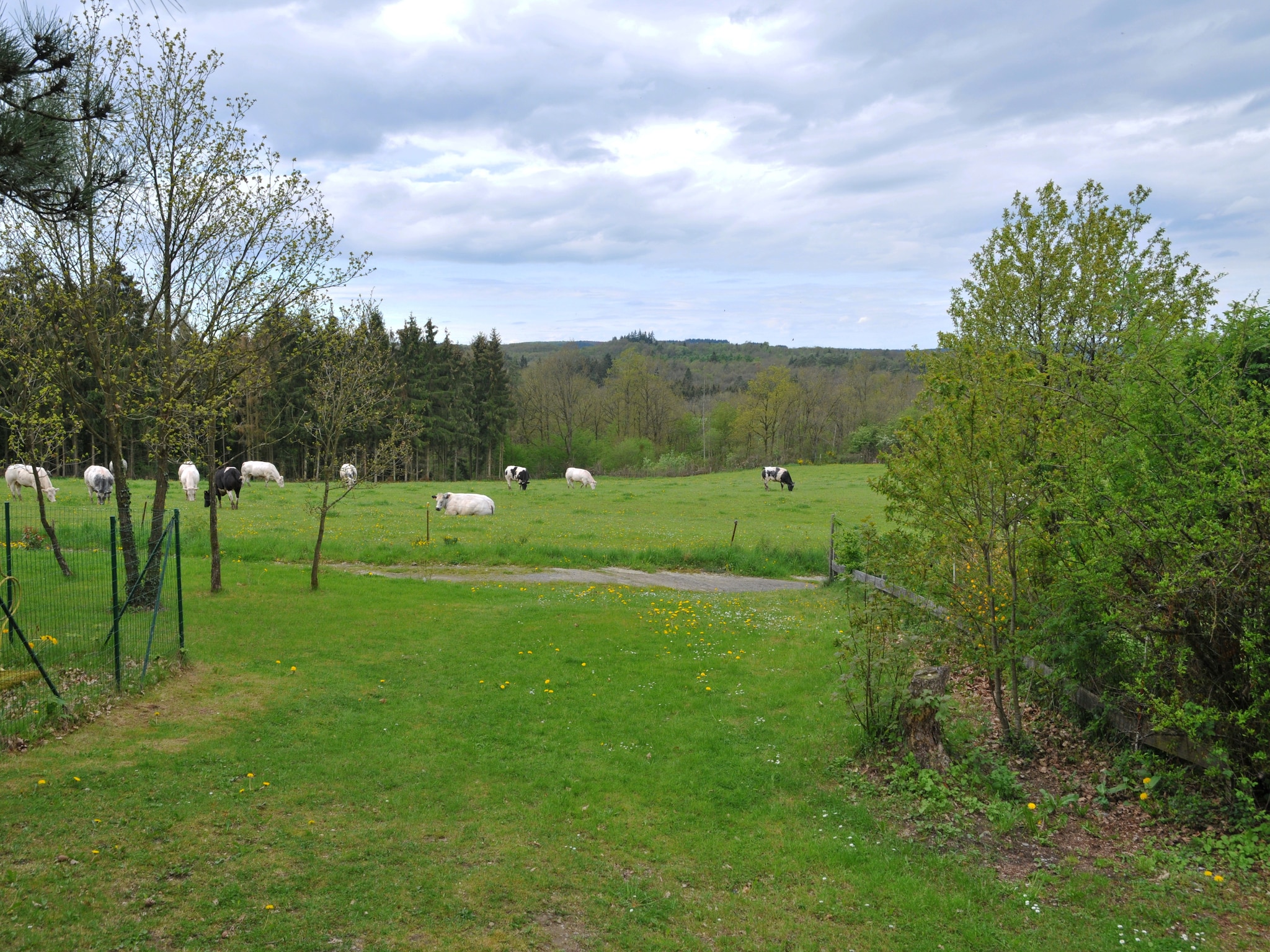   Au Nid d'Houyet