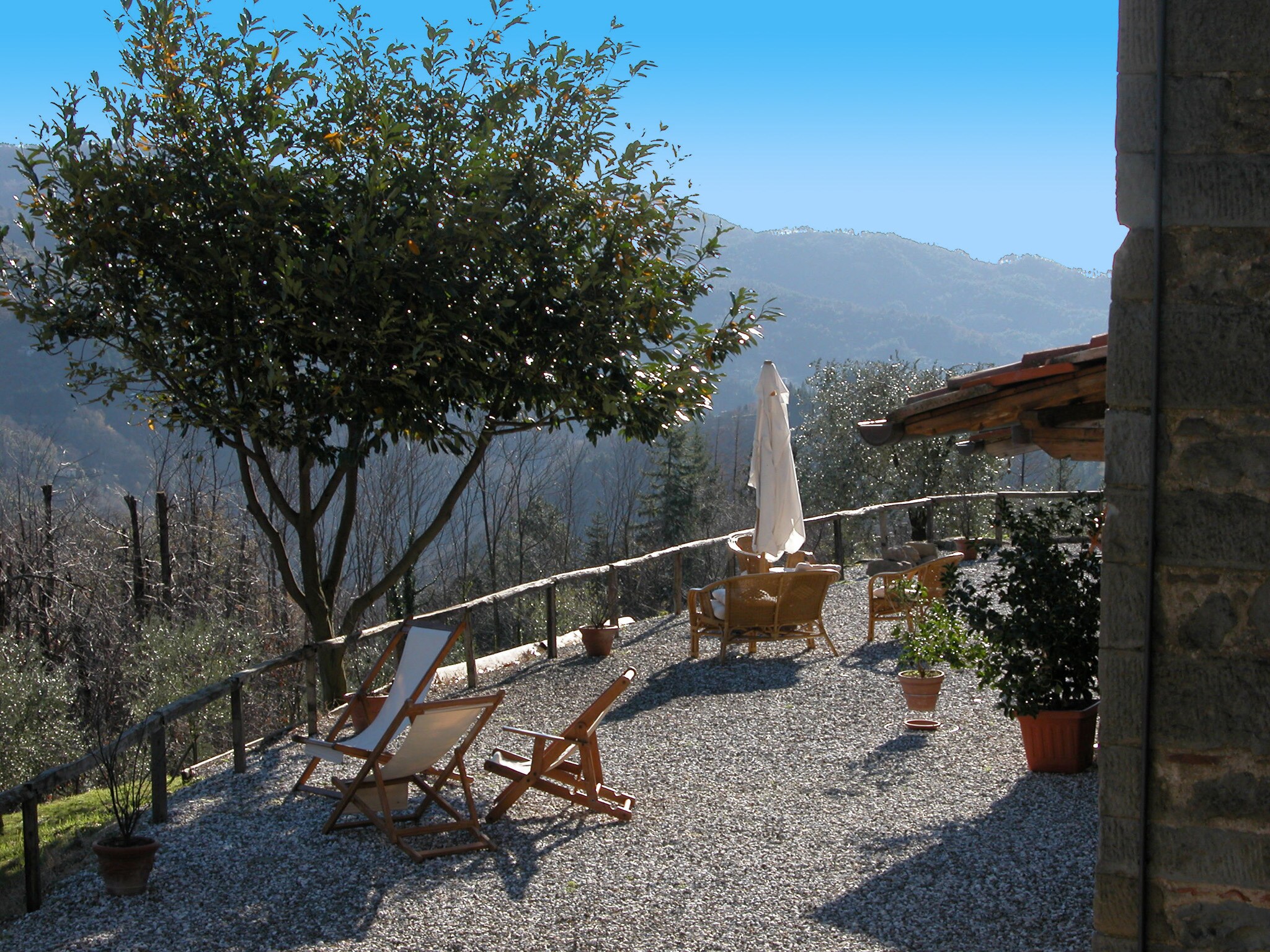 Ferienhaus Olivi - Tutto