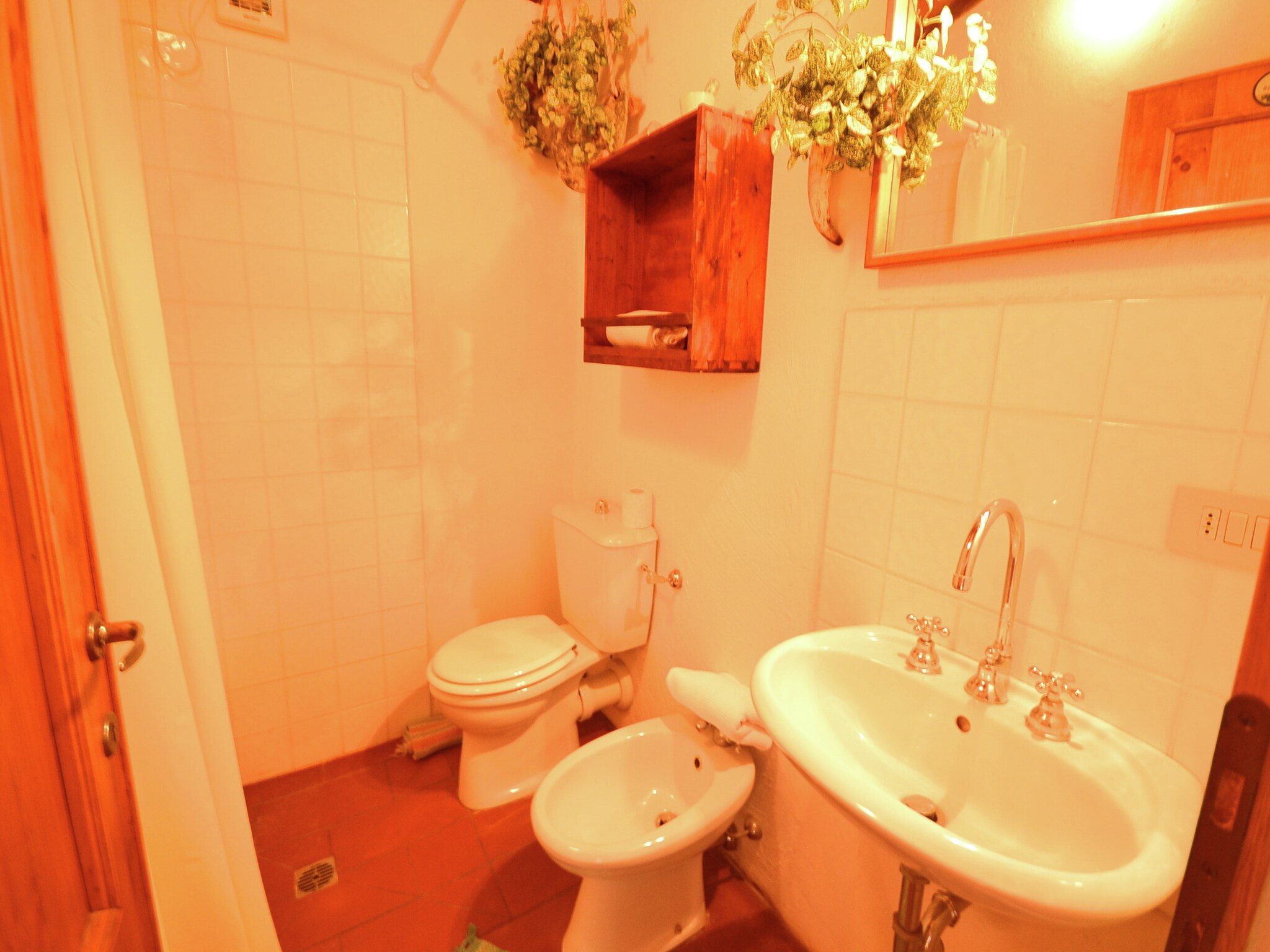 Ferienhaus Olivi - Tutto