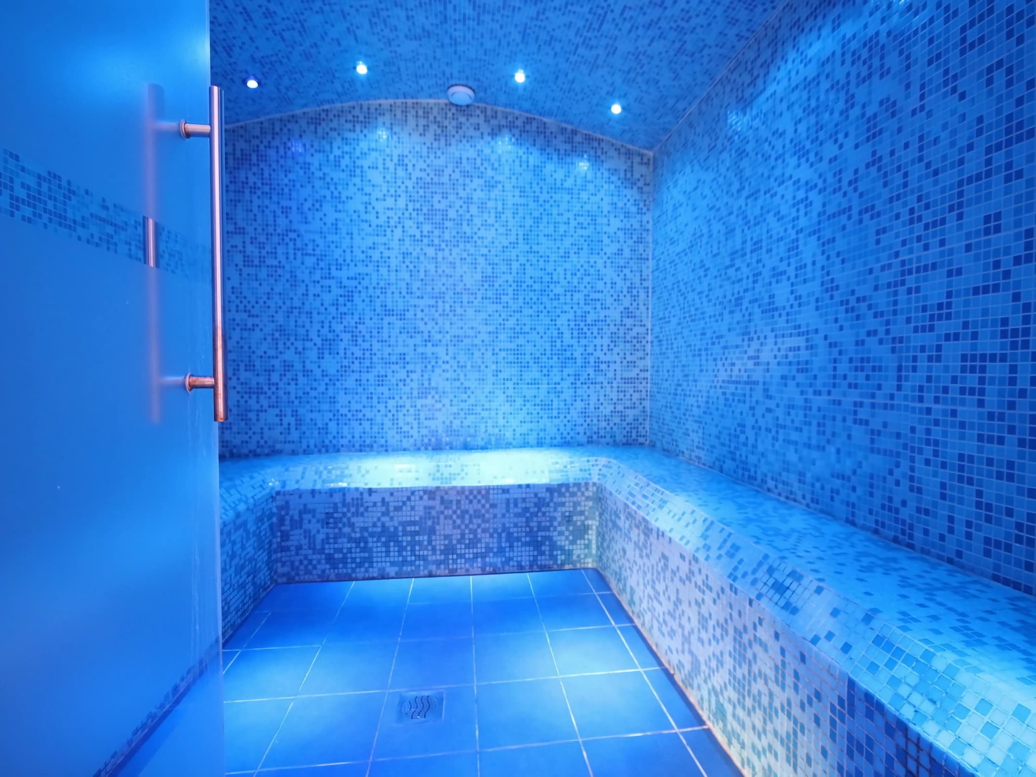   Royale Roanne