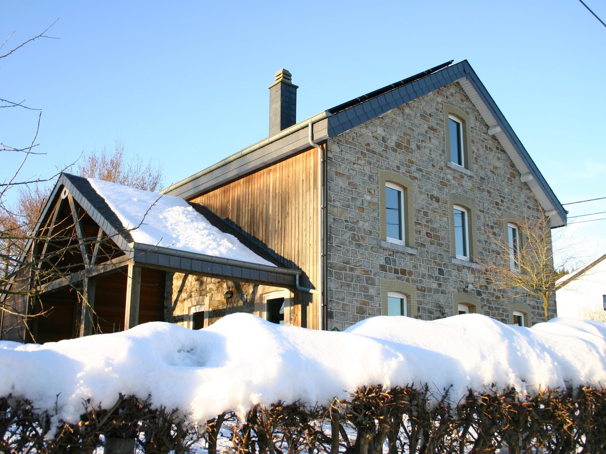   A la lisière de la forêt