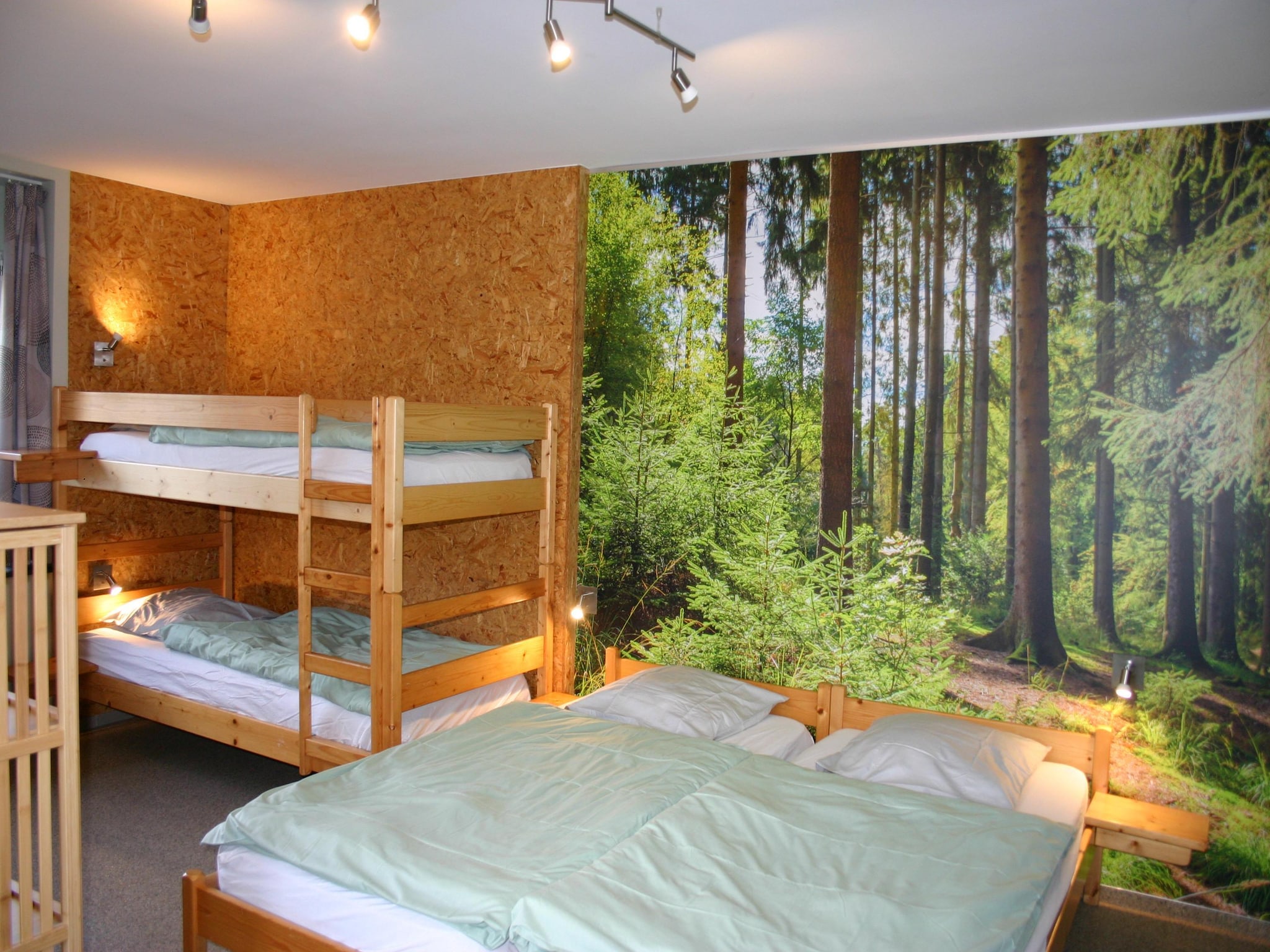   A la lisière de la forêt