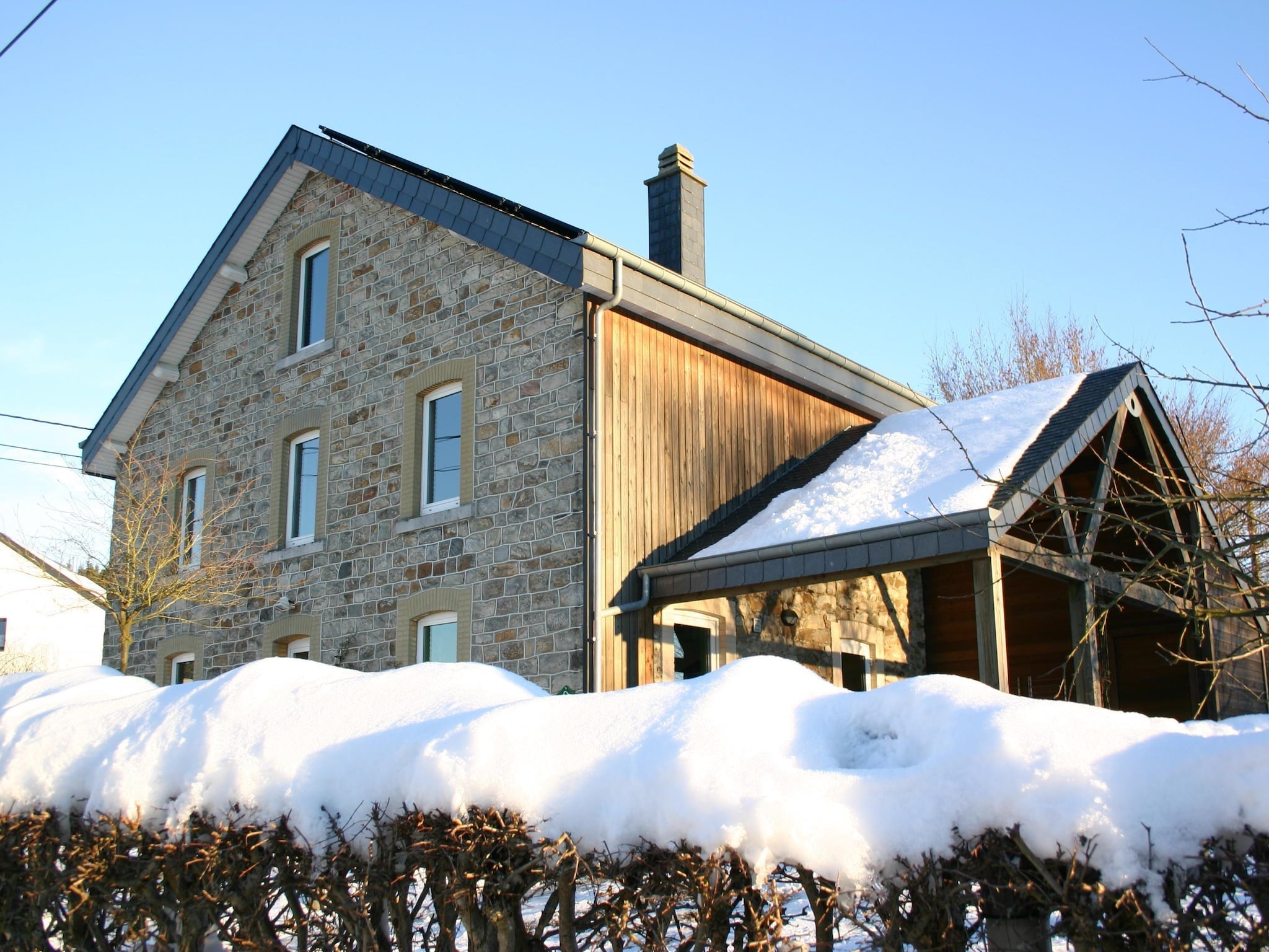   A la lisière de la forêt