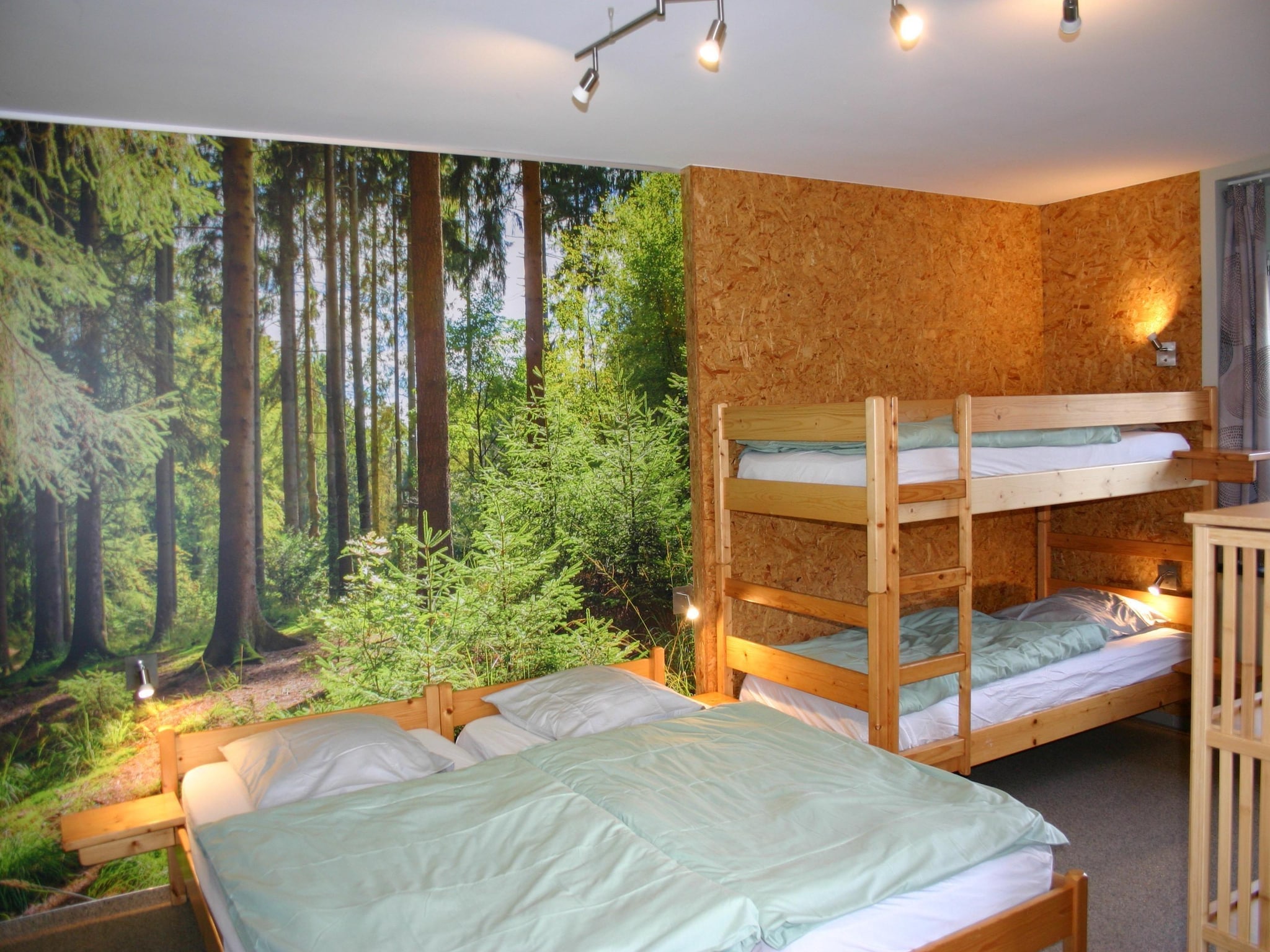   A la lisière de la forêt