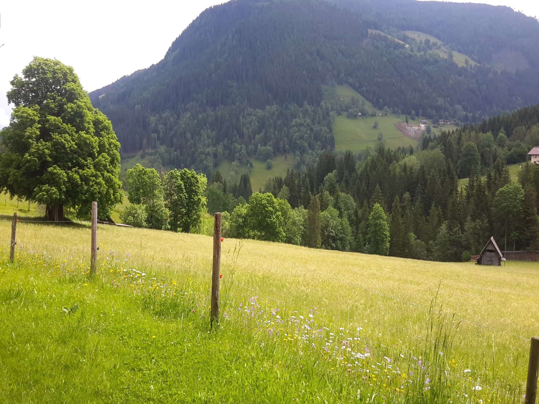 Leilighet Lahnberg