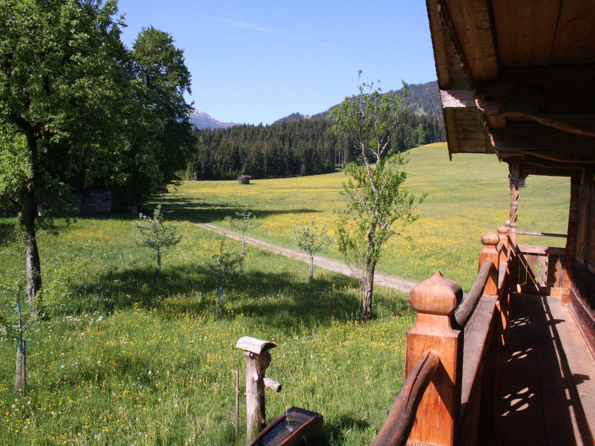 Ferienhaus Haus Harpfen