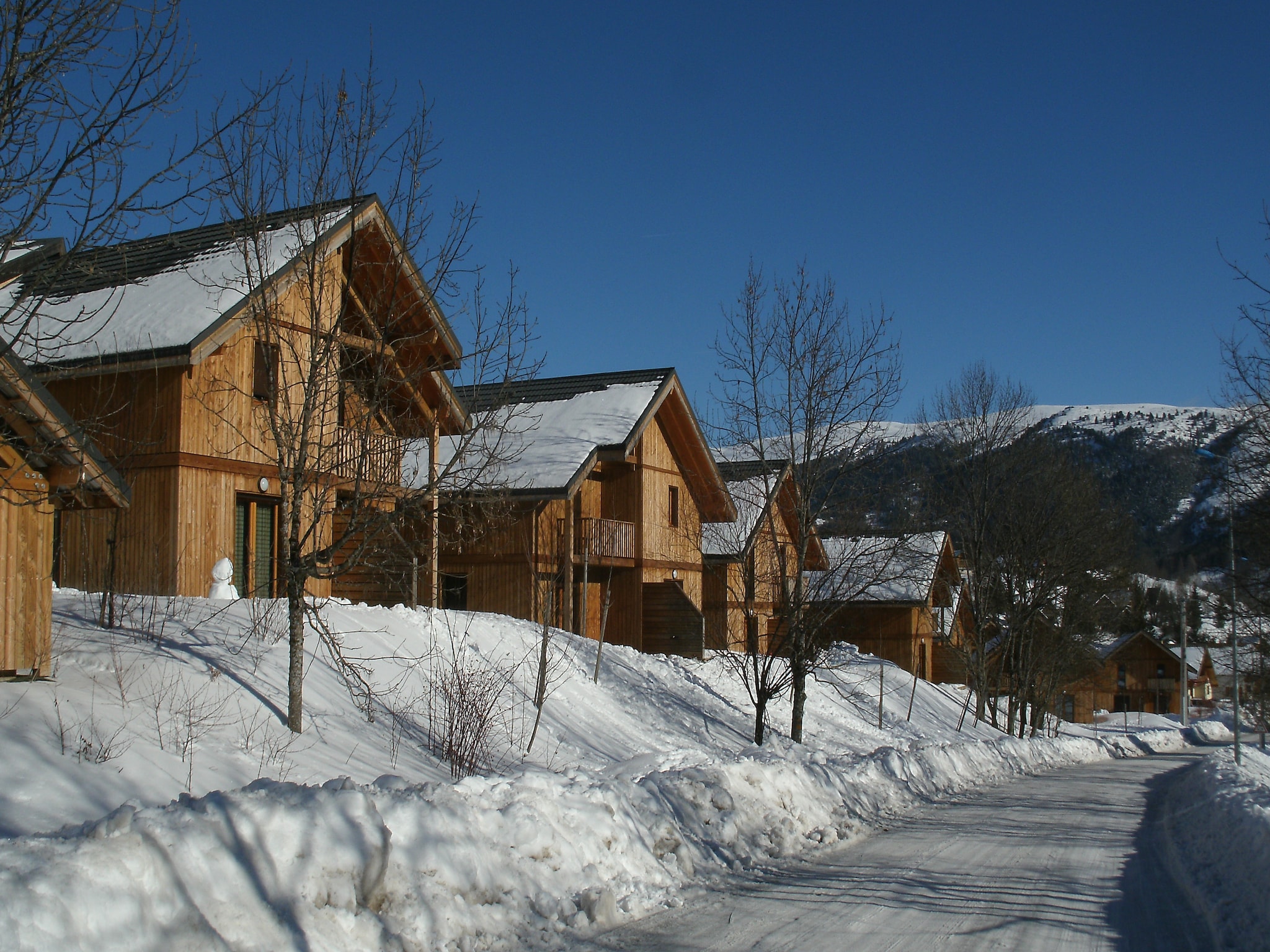 Ferienwohnung Les Gentianes 1