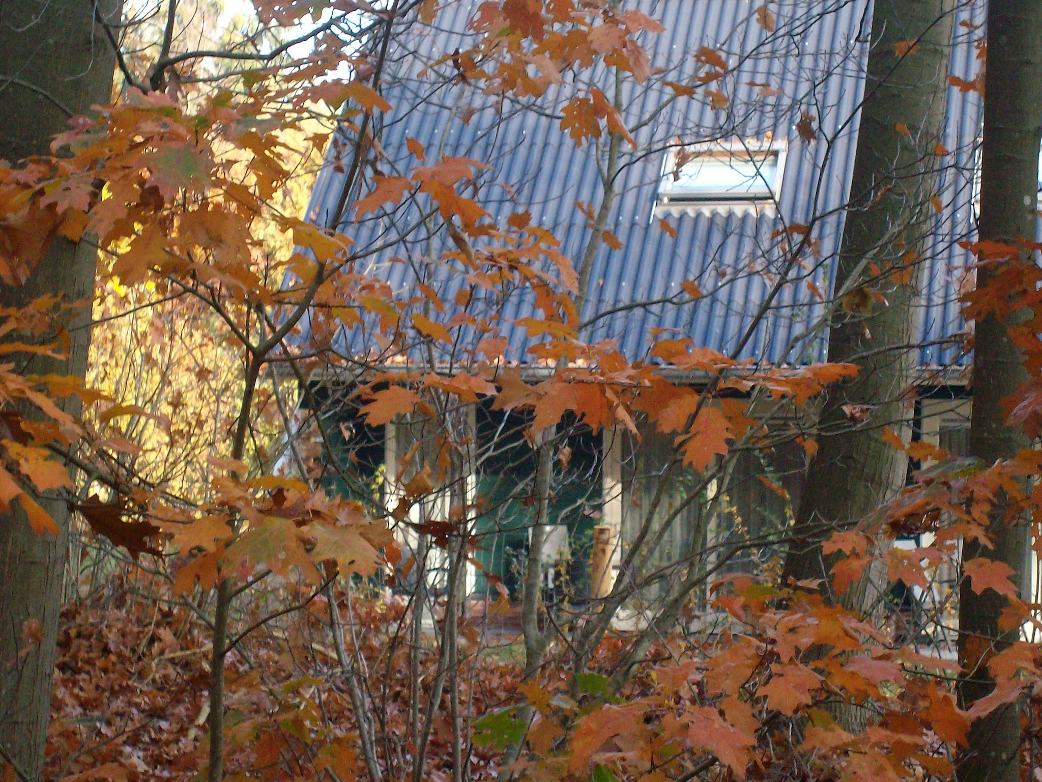  Vakantiepark Horsetellerie 7