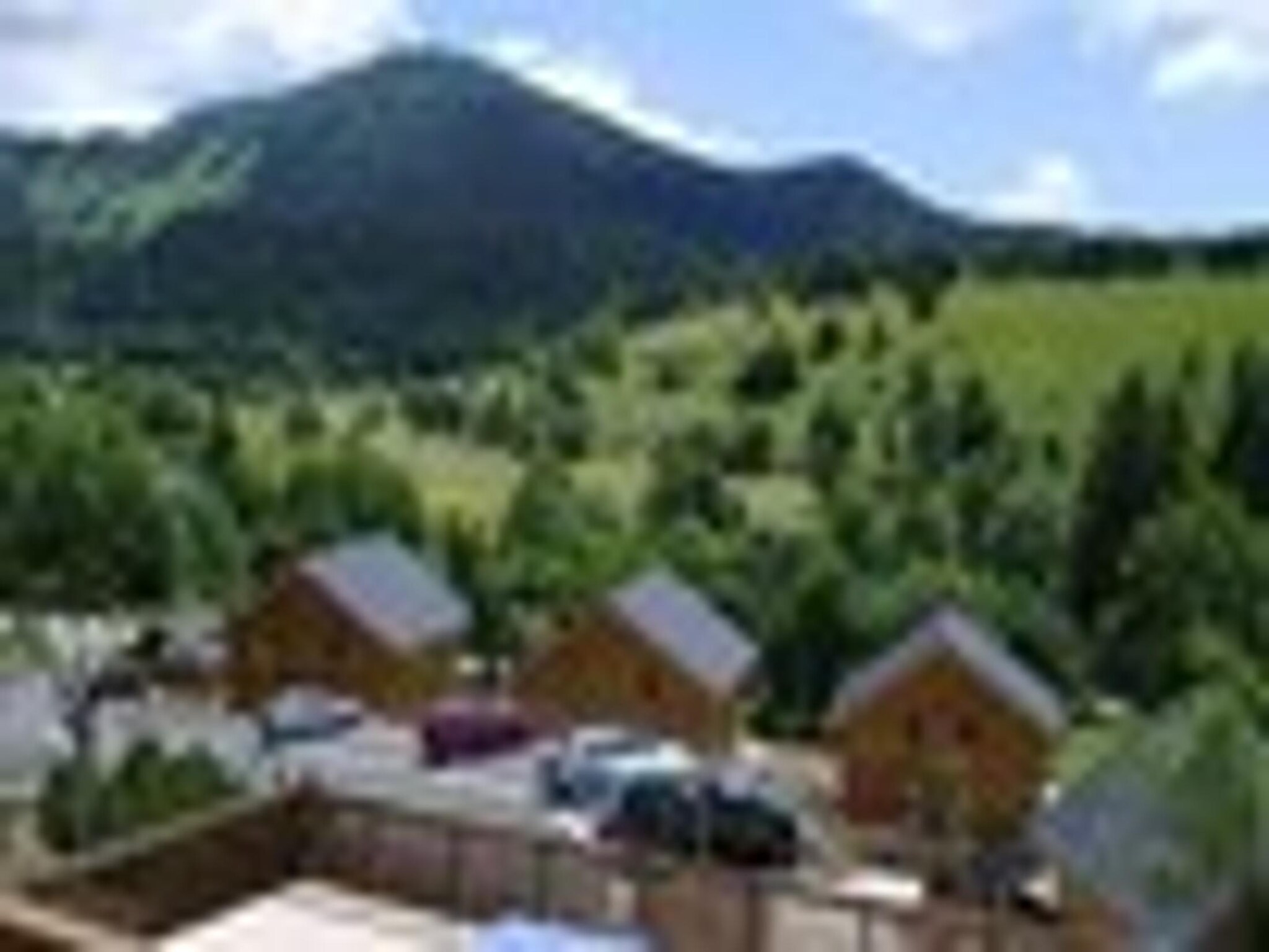 Ferienwohnung Les Gentianes 3