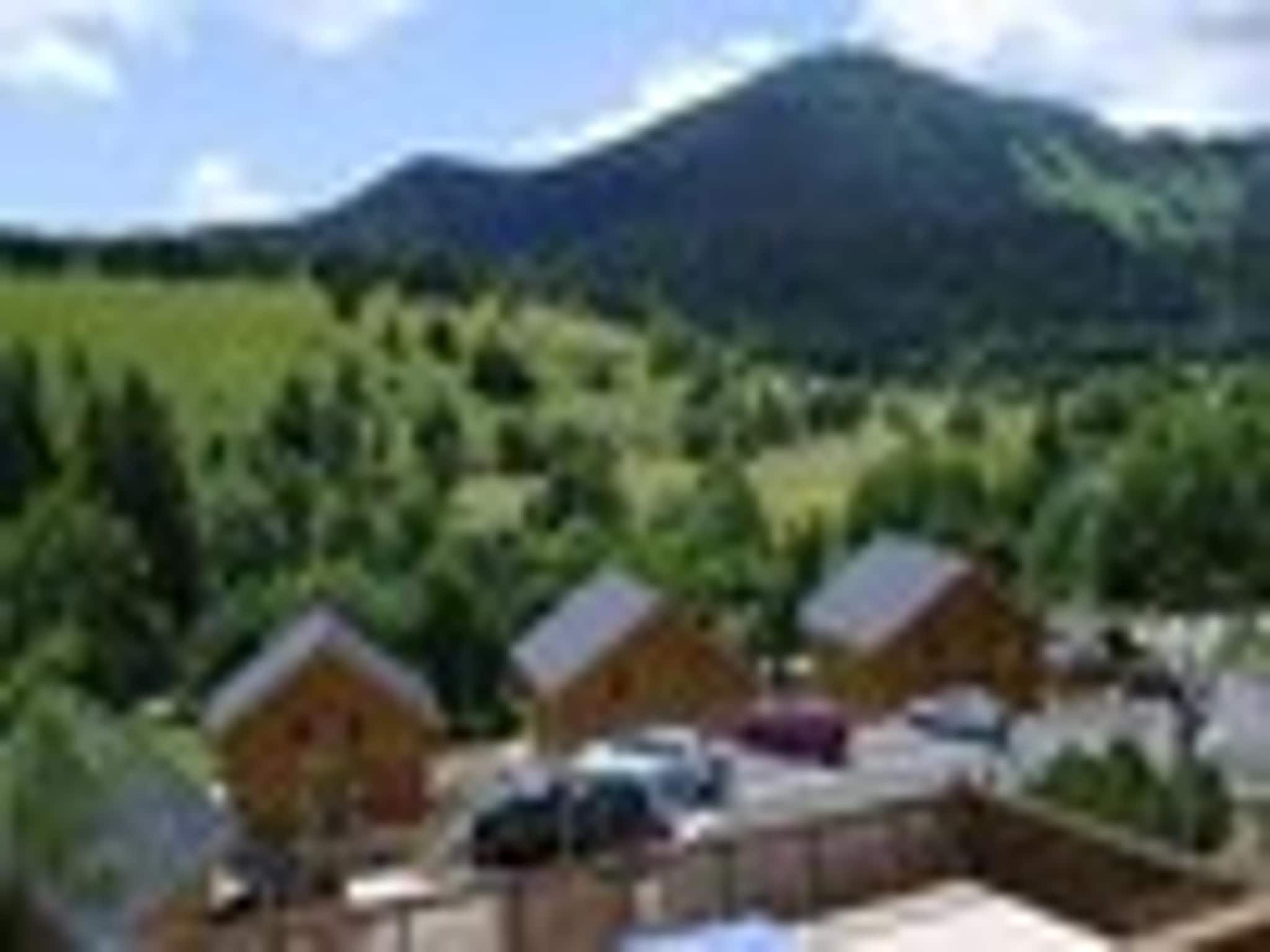 Ferienwohnung Les Gentianes 3