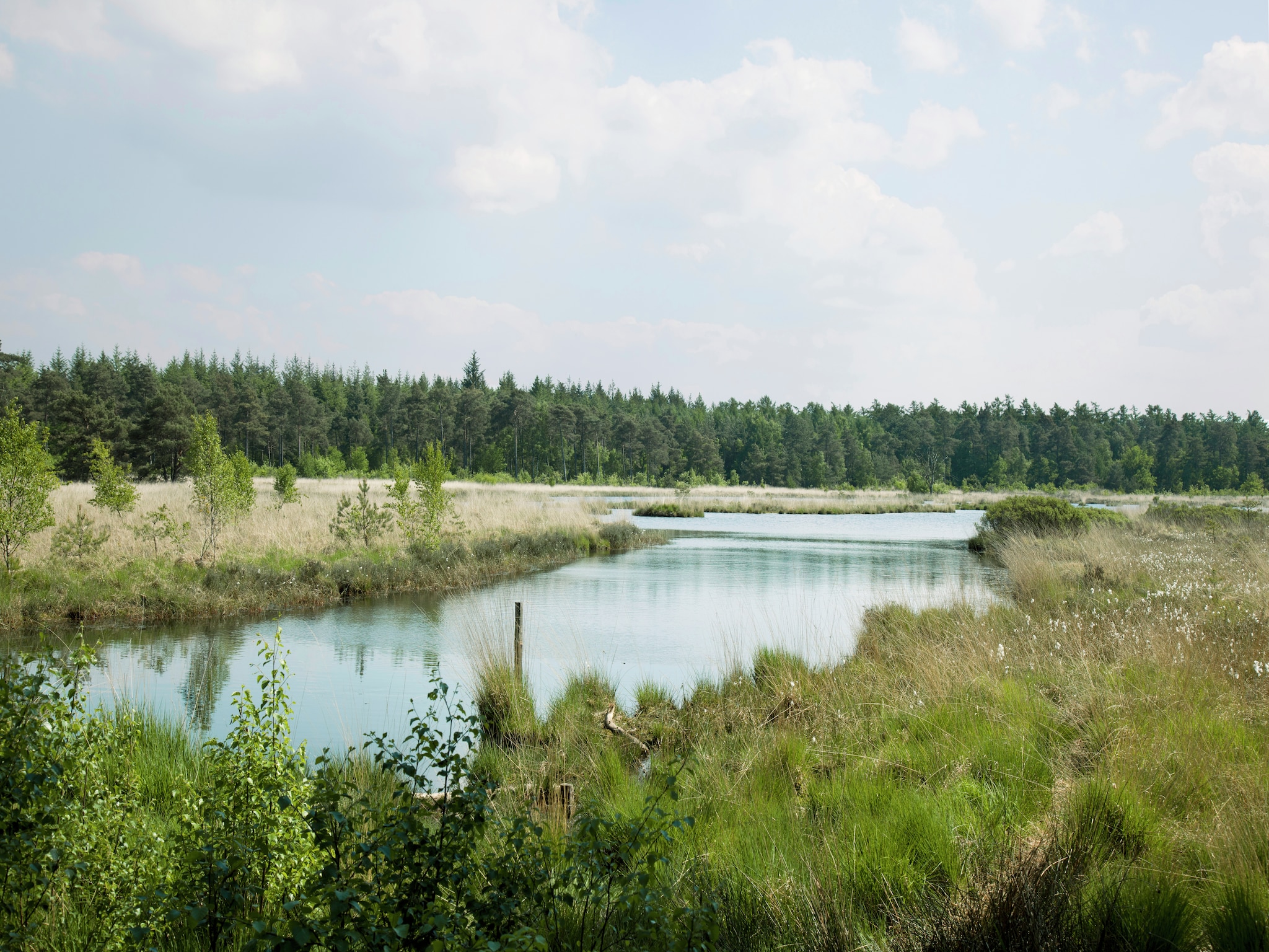 Ferienhaus Buitenplaats De Hildenberg 2