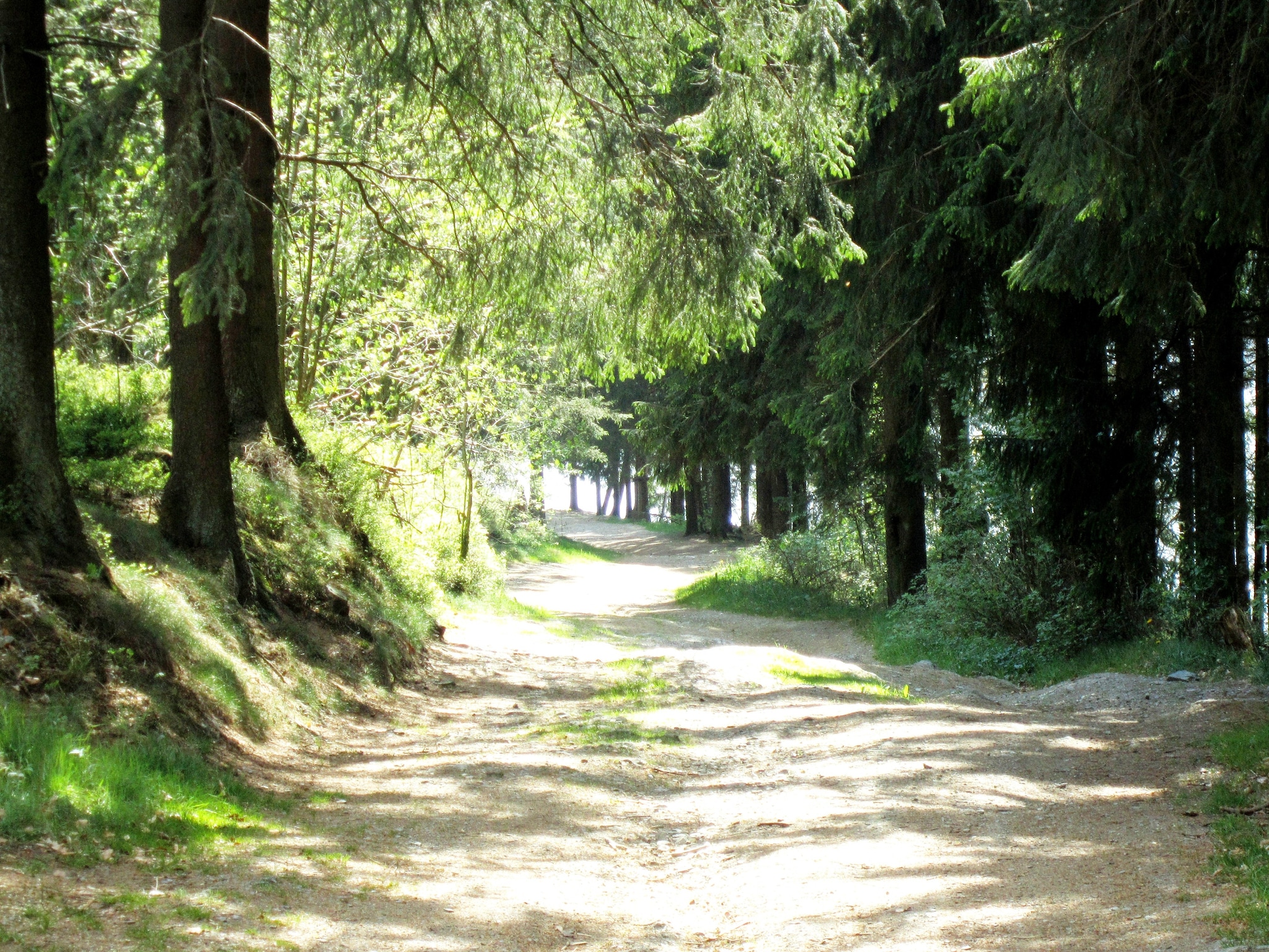 Vakantiehuis Chalet Orange