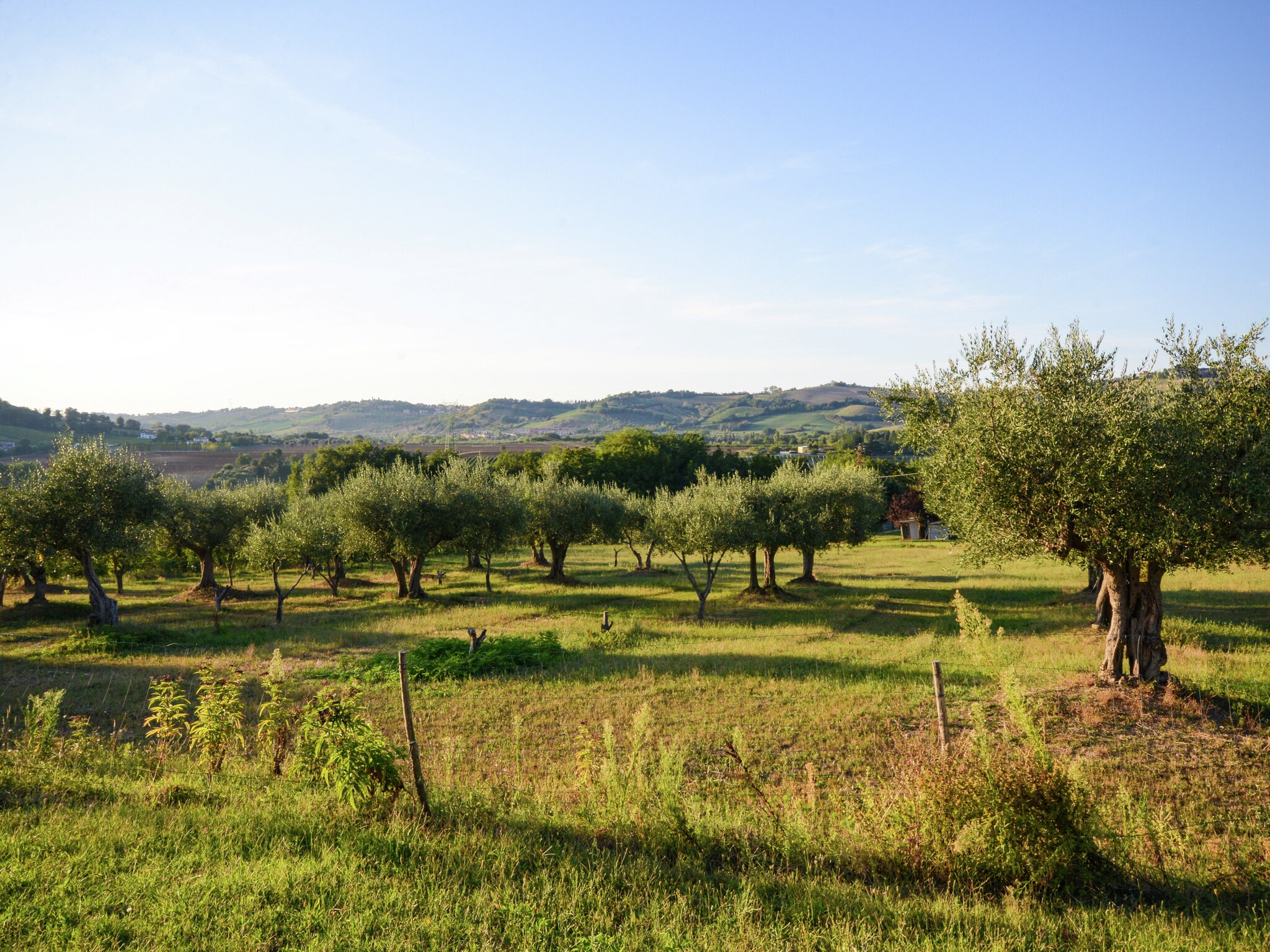 Casa di vacanze Ca Bianca