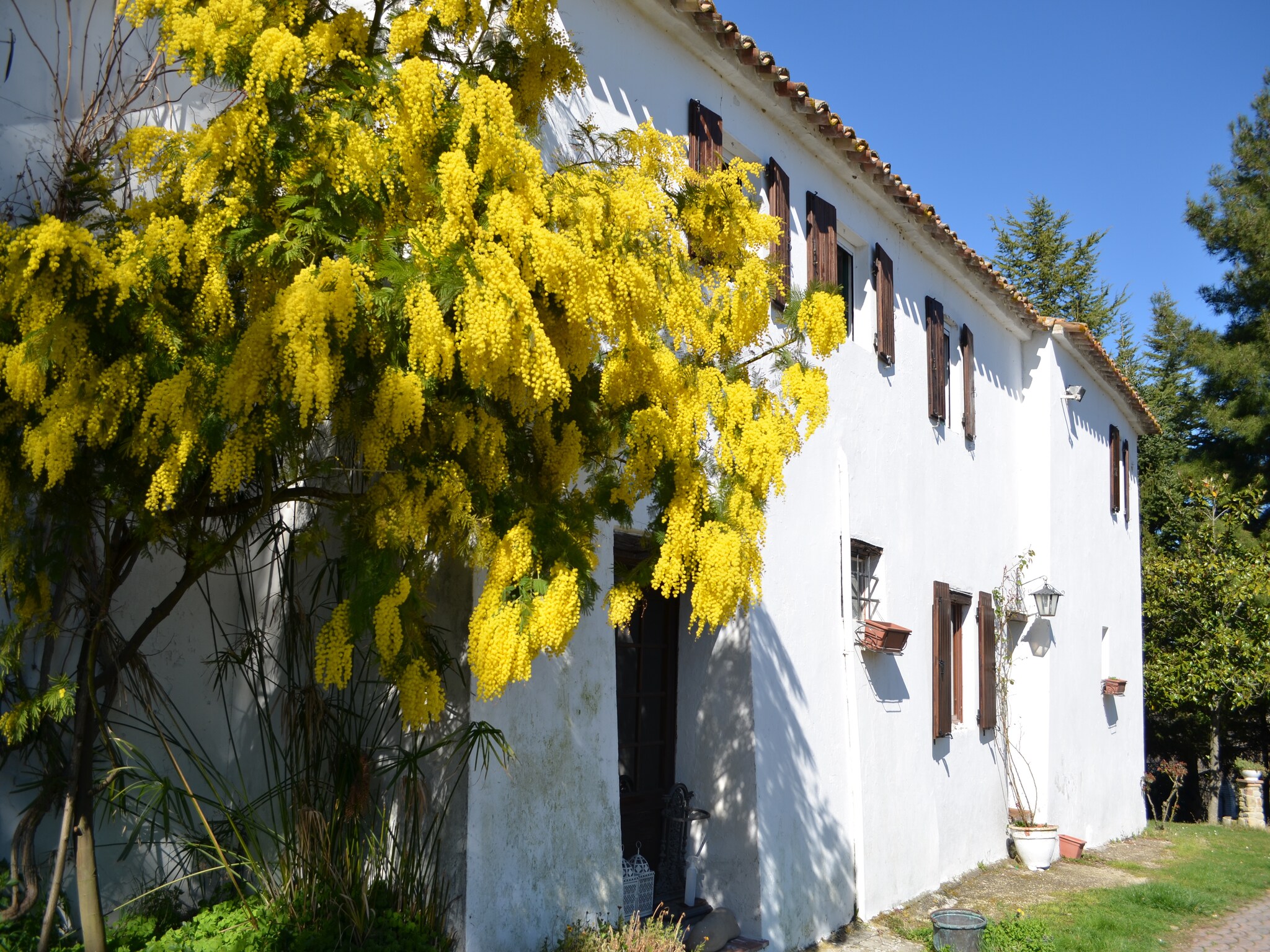 Casa di vacanze Ca Bianca