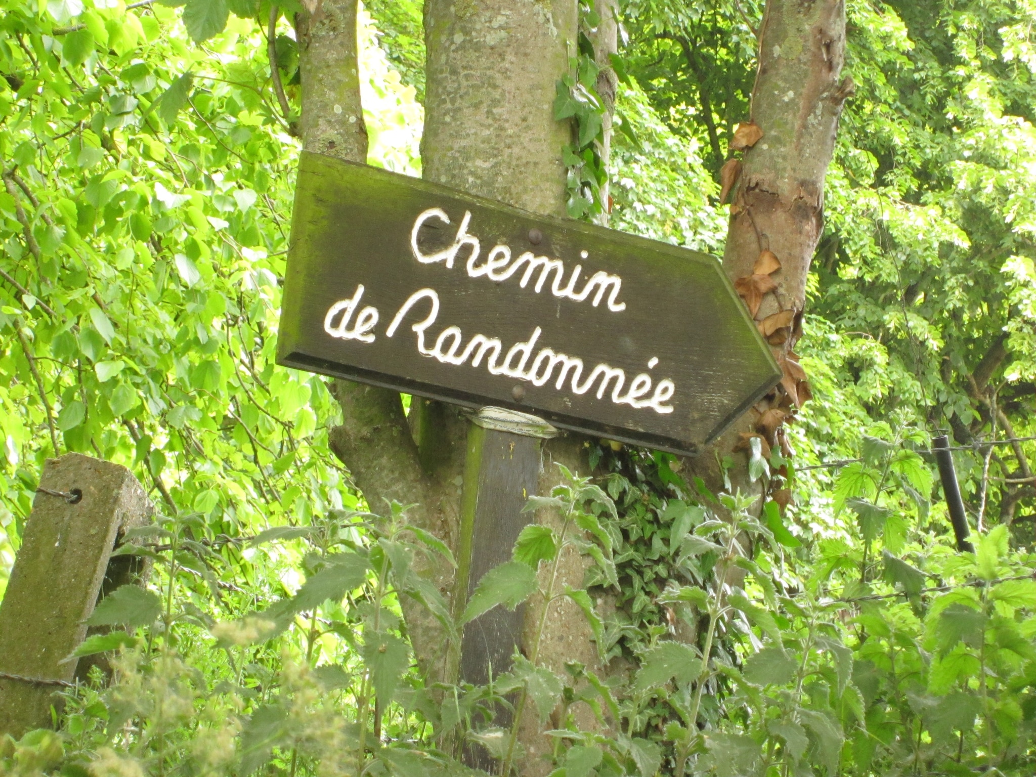 Vakantiehuis Gite Saint Julien