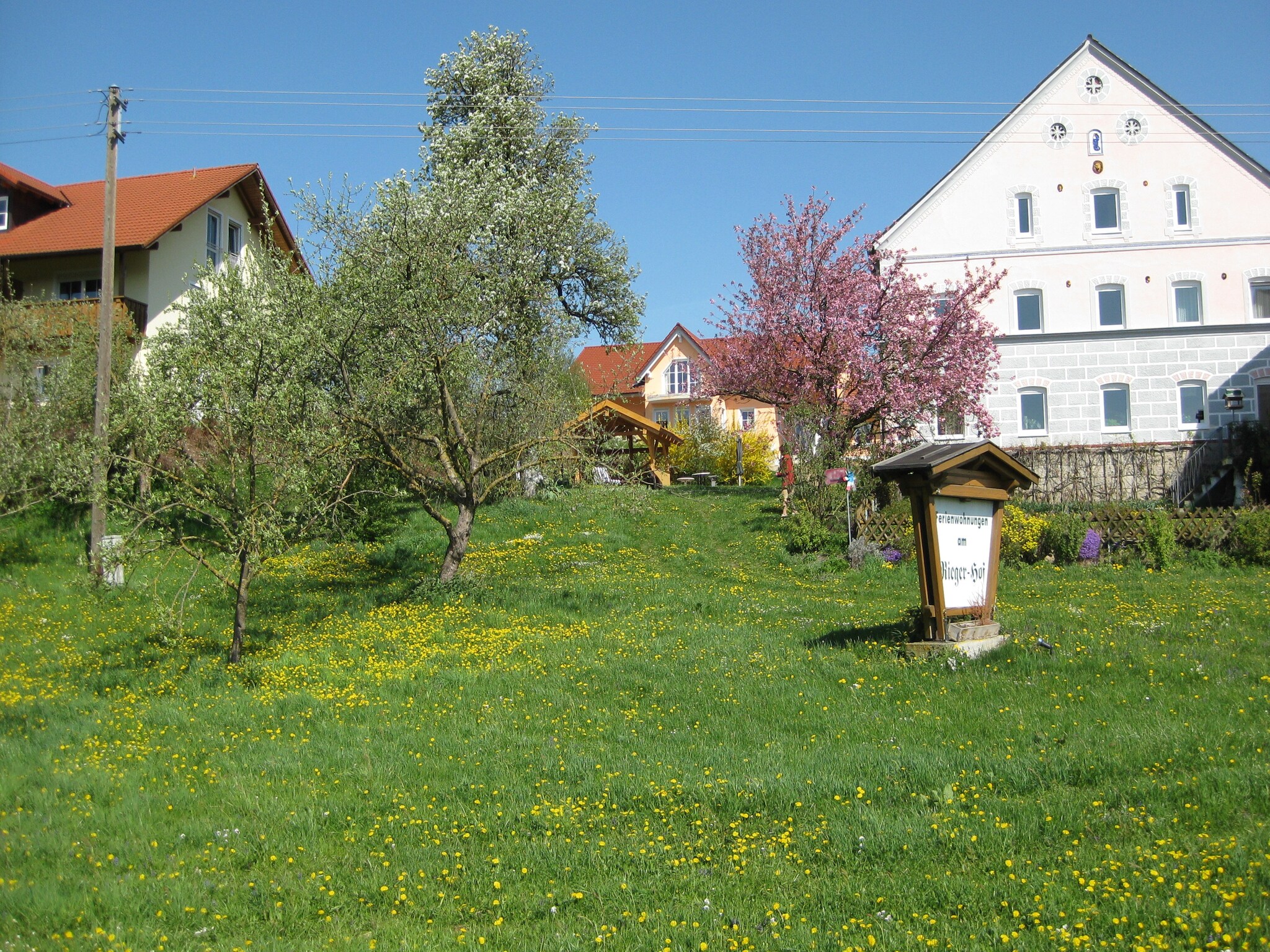 Ferienwohnung Am Ferienhof