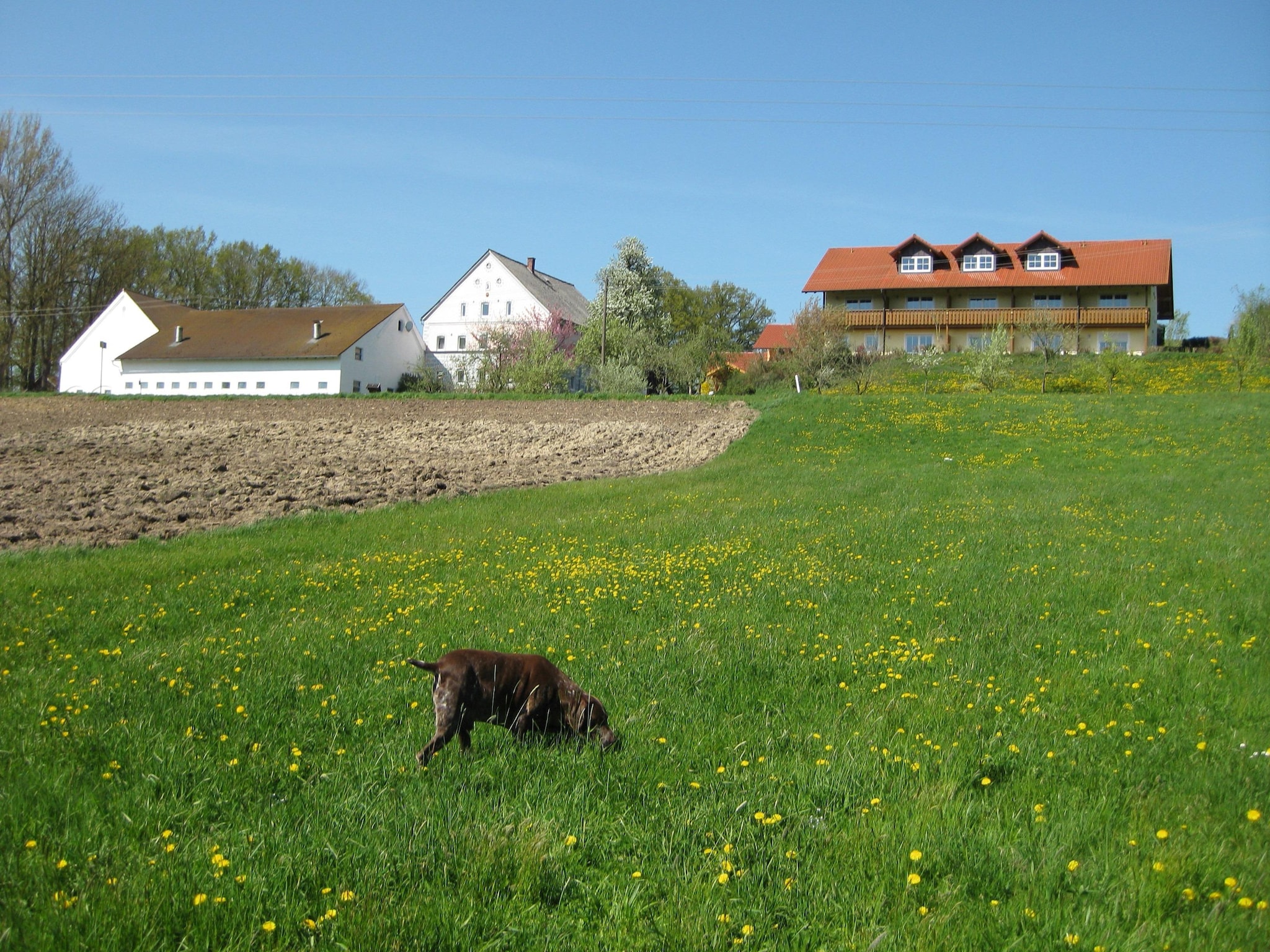 Ferienwohnung Am Ferienhof