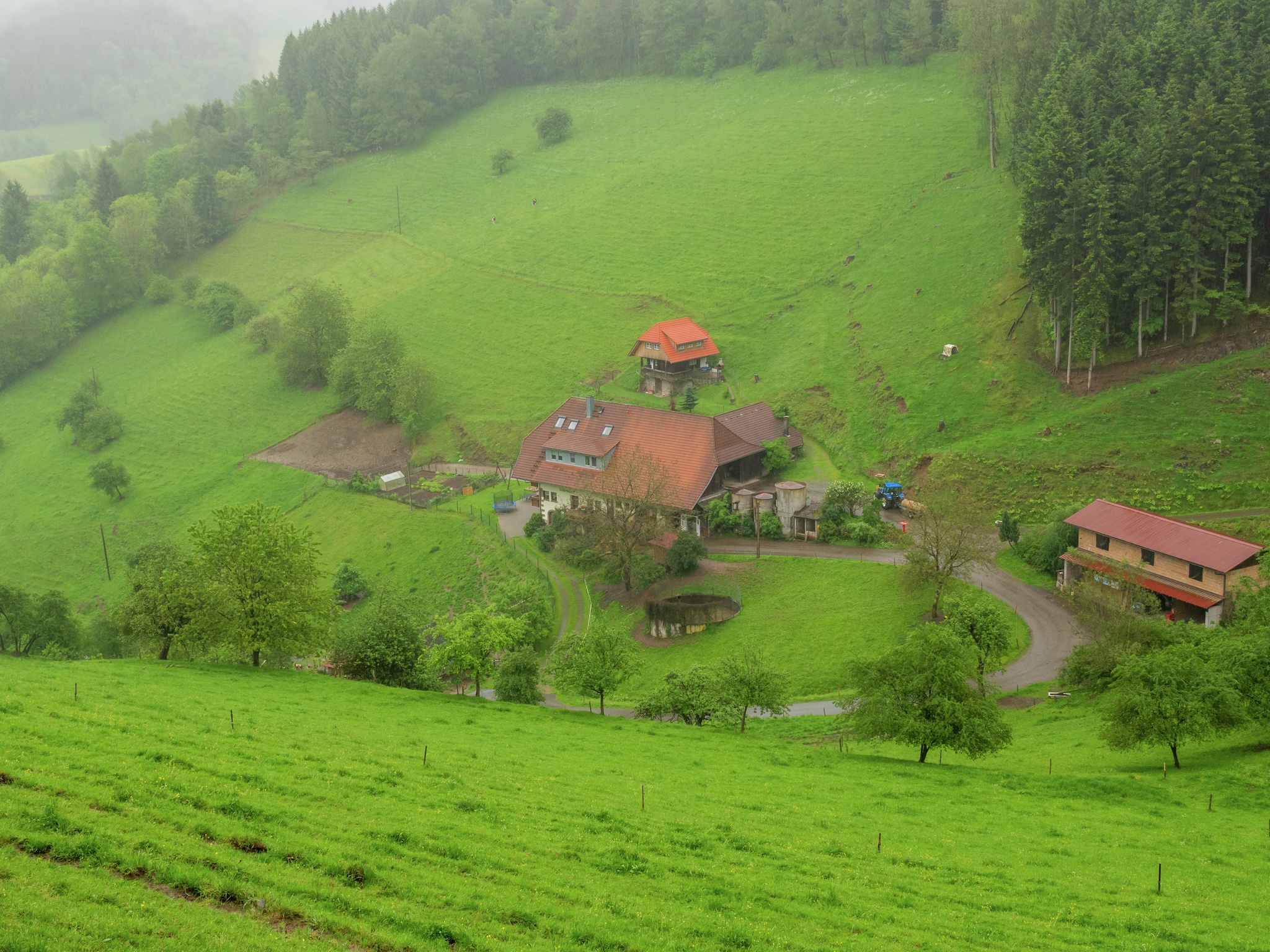Ferienhaus Schwarzwald - Gummenstein