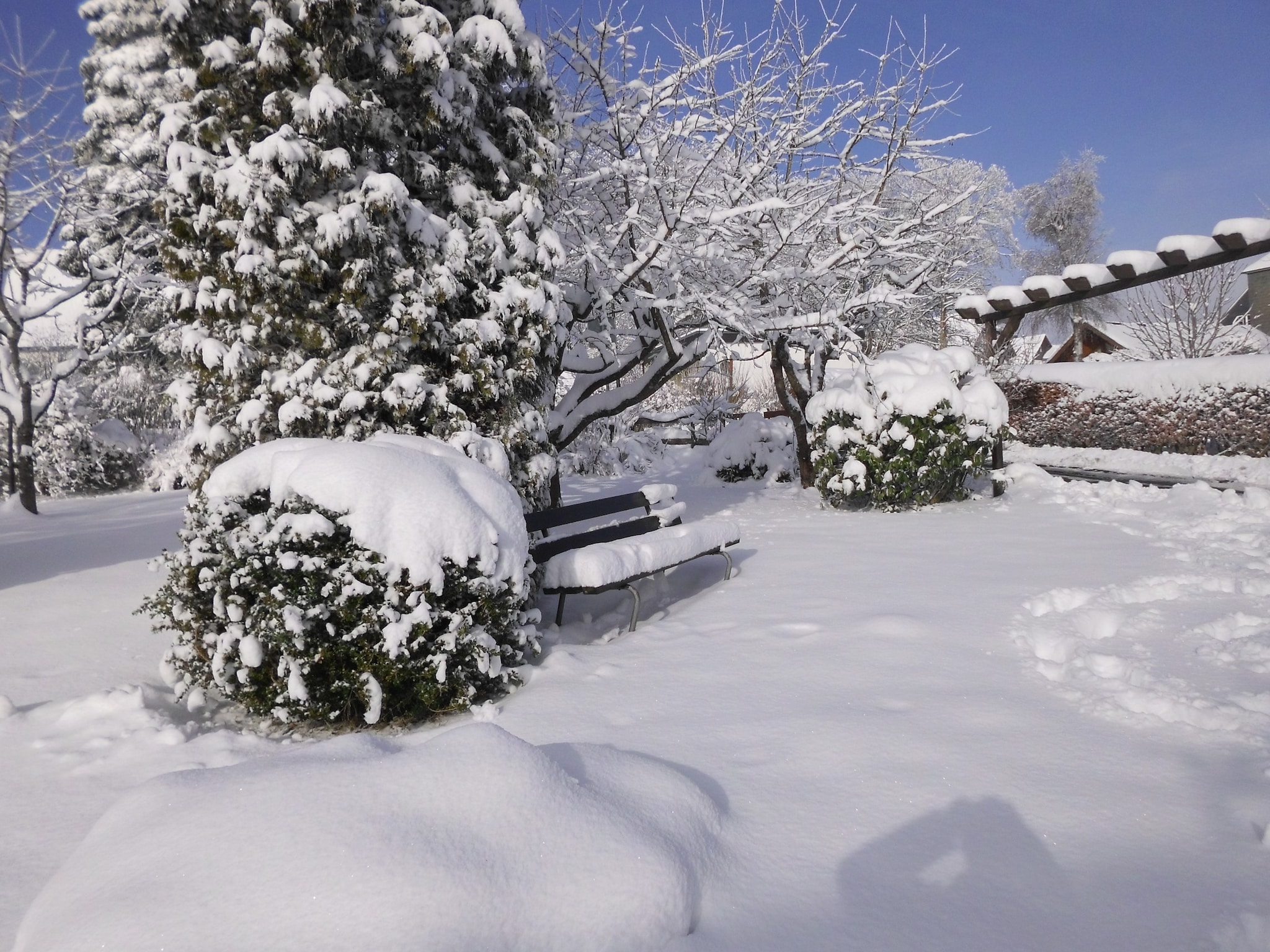 Ferienwohnung Winterberg