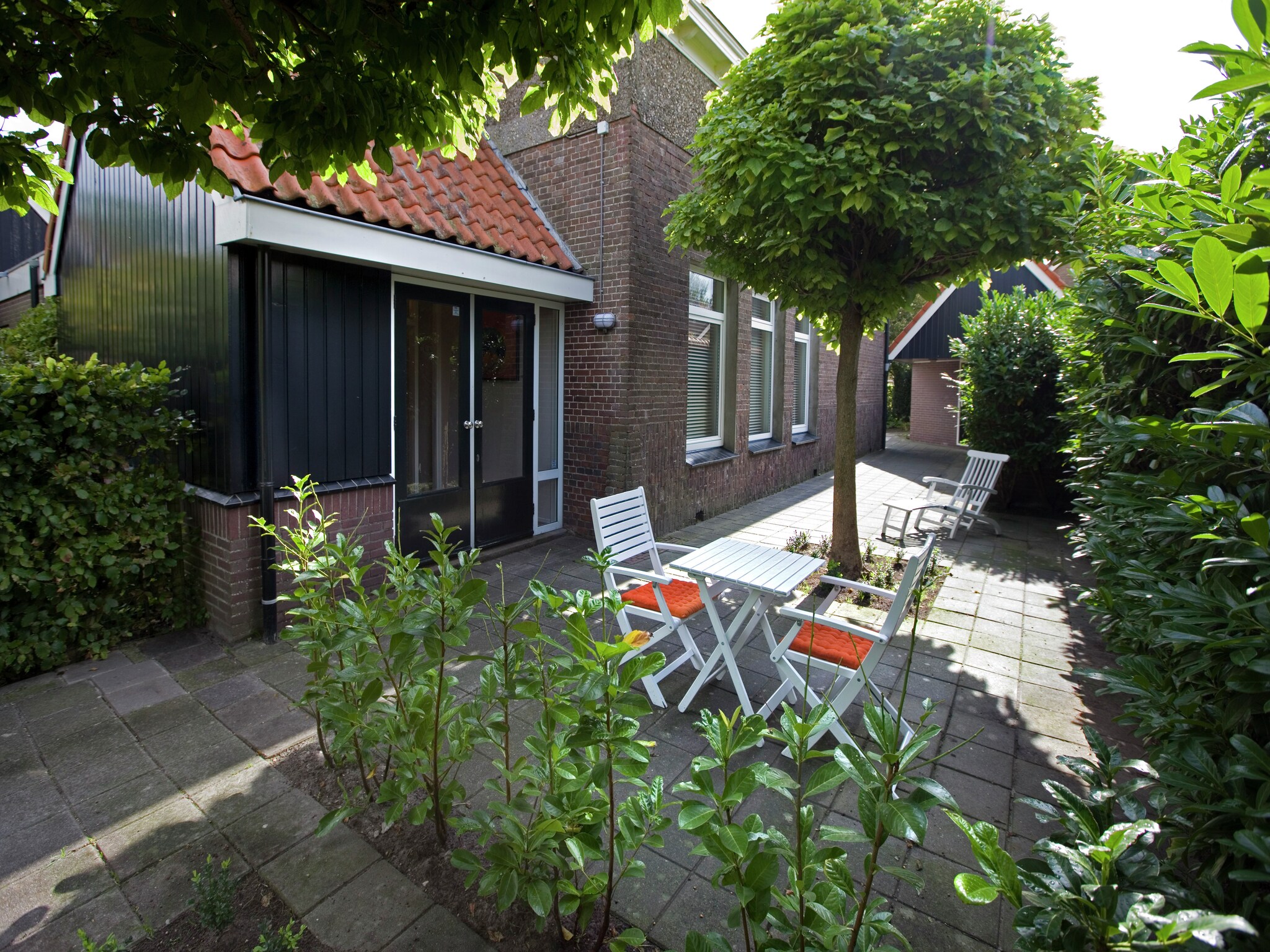   Domus