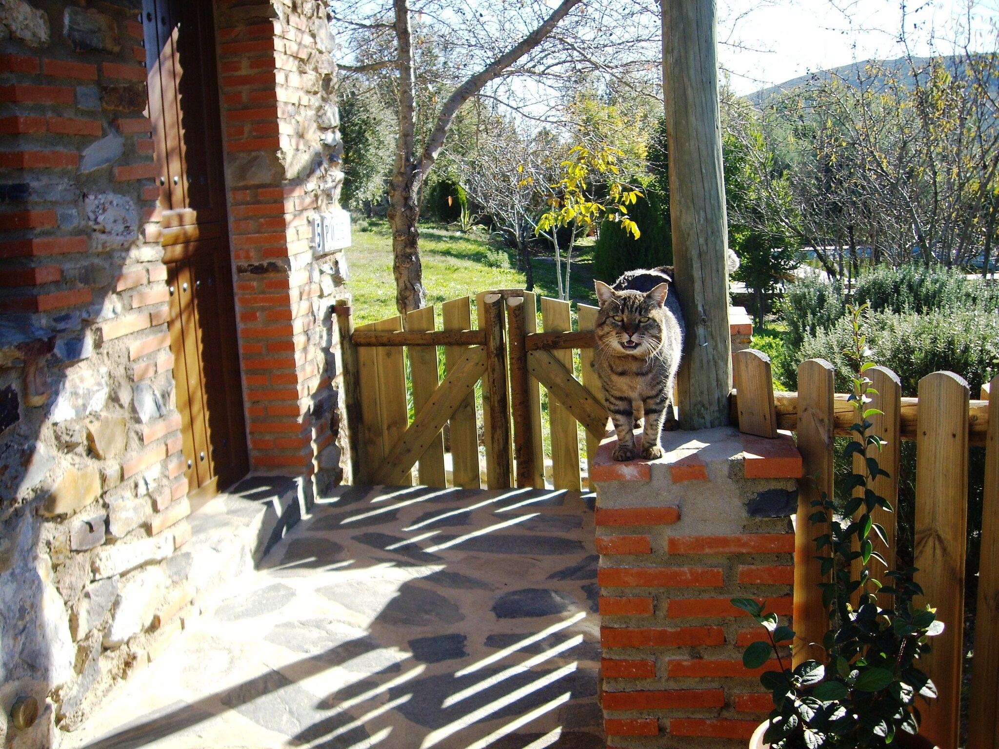 Vakantiehuis Cabaña Poleo