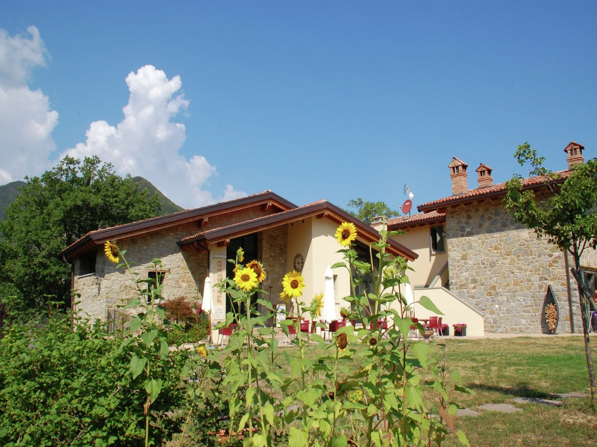   Borgo Belvedere Mono