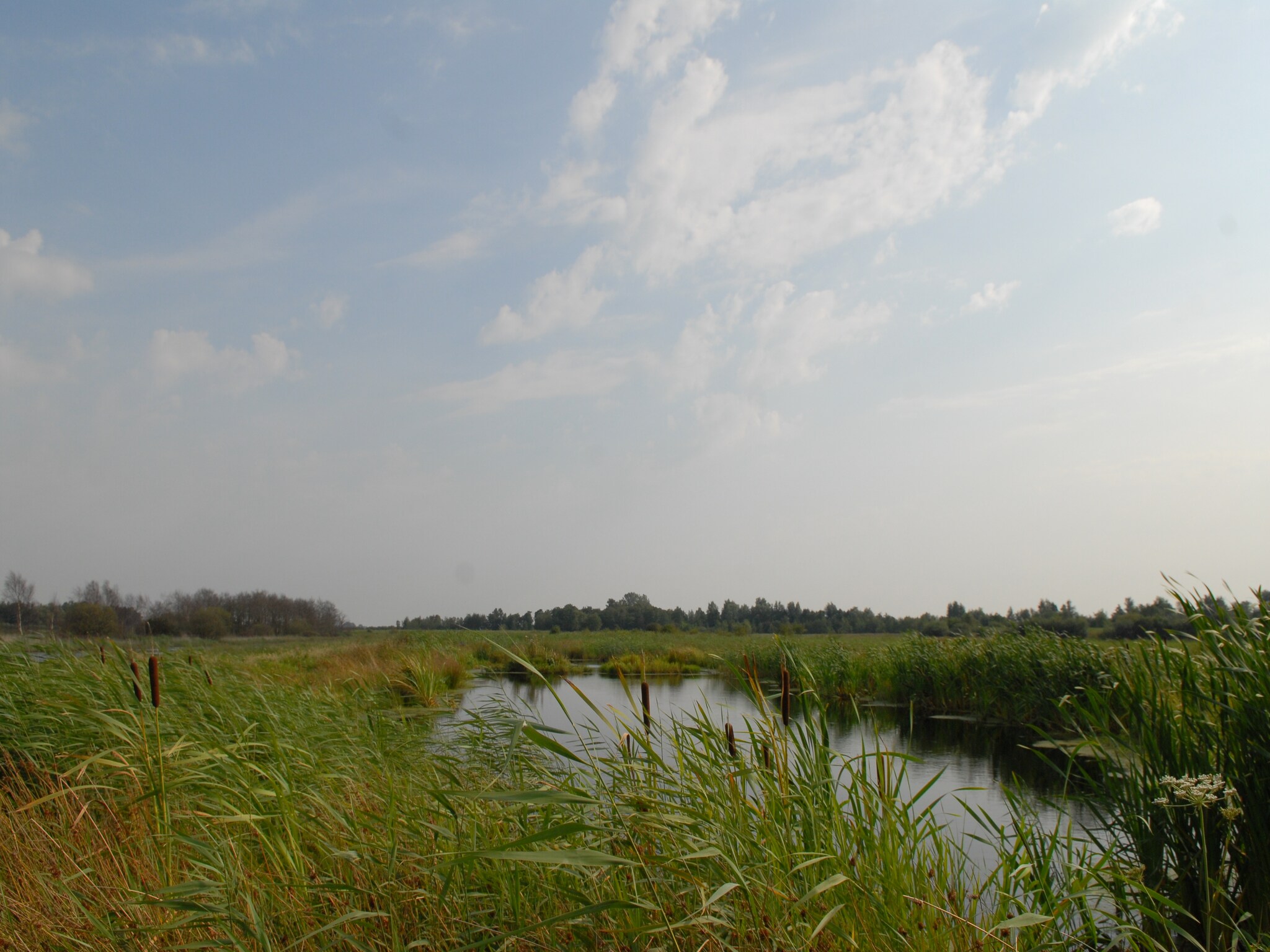 Vakantiehuis Buitenplaats It Wiid