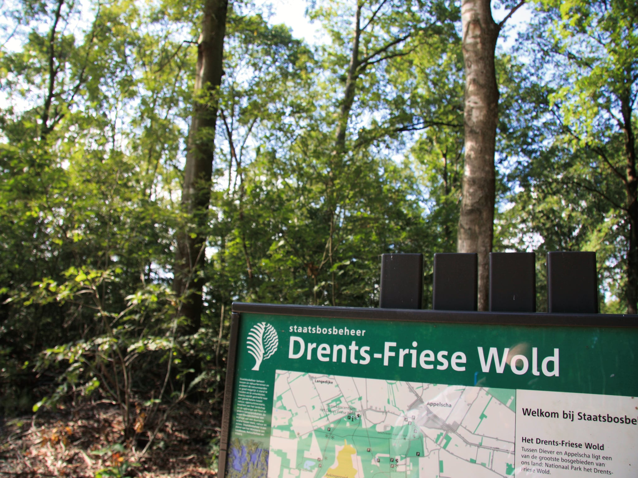   Het Drentse Wold 2