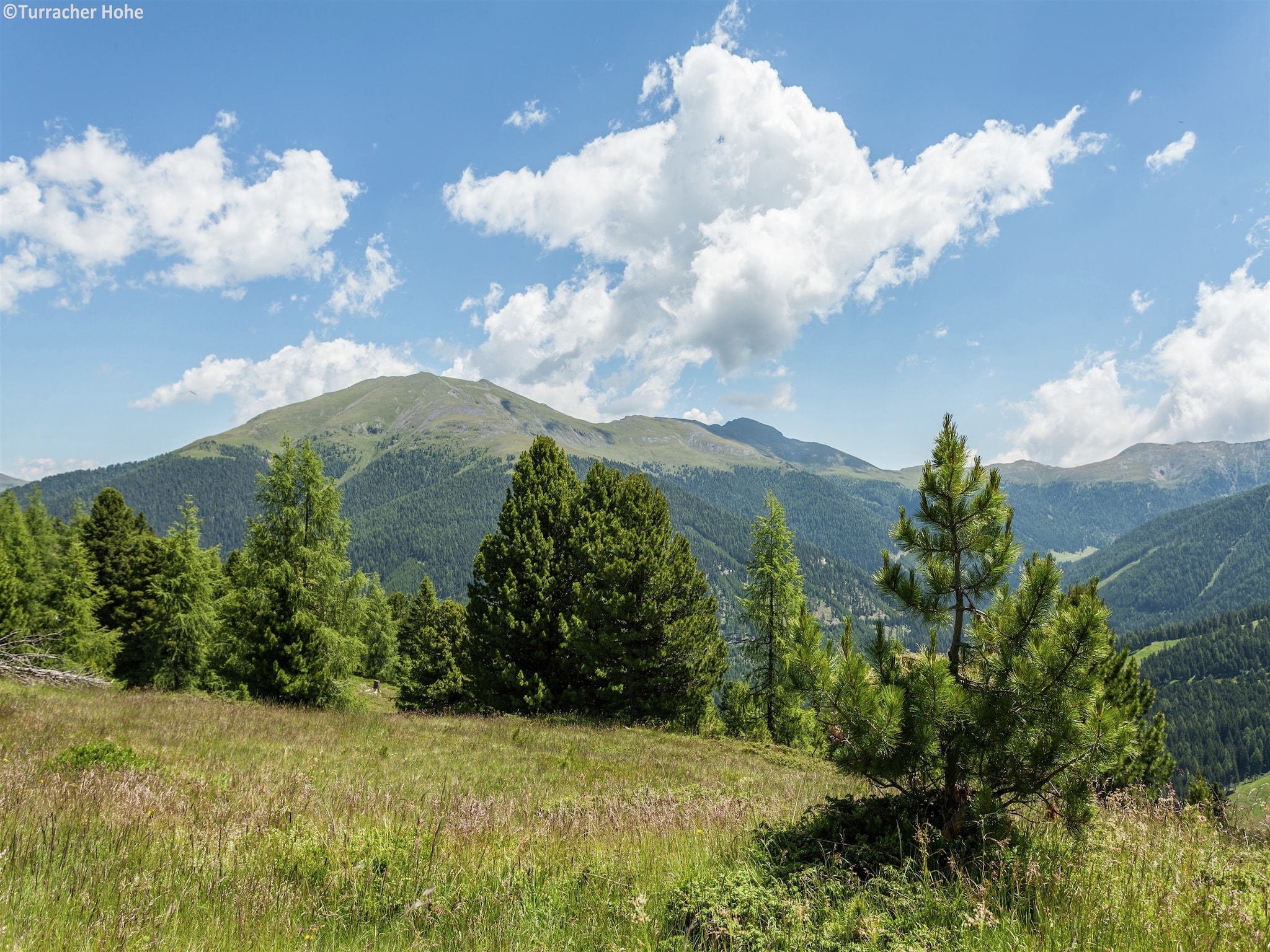 Ferienhaus Alpenpark Turrach 6