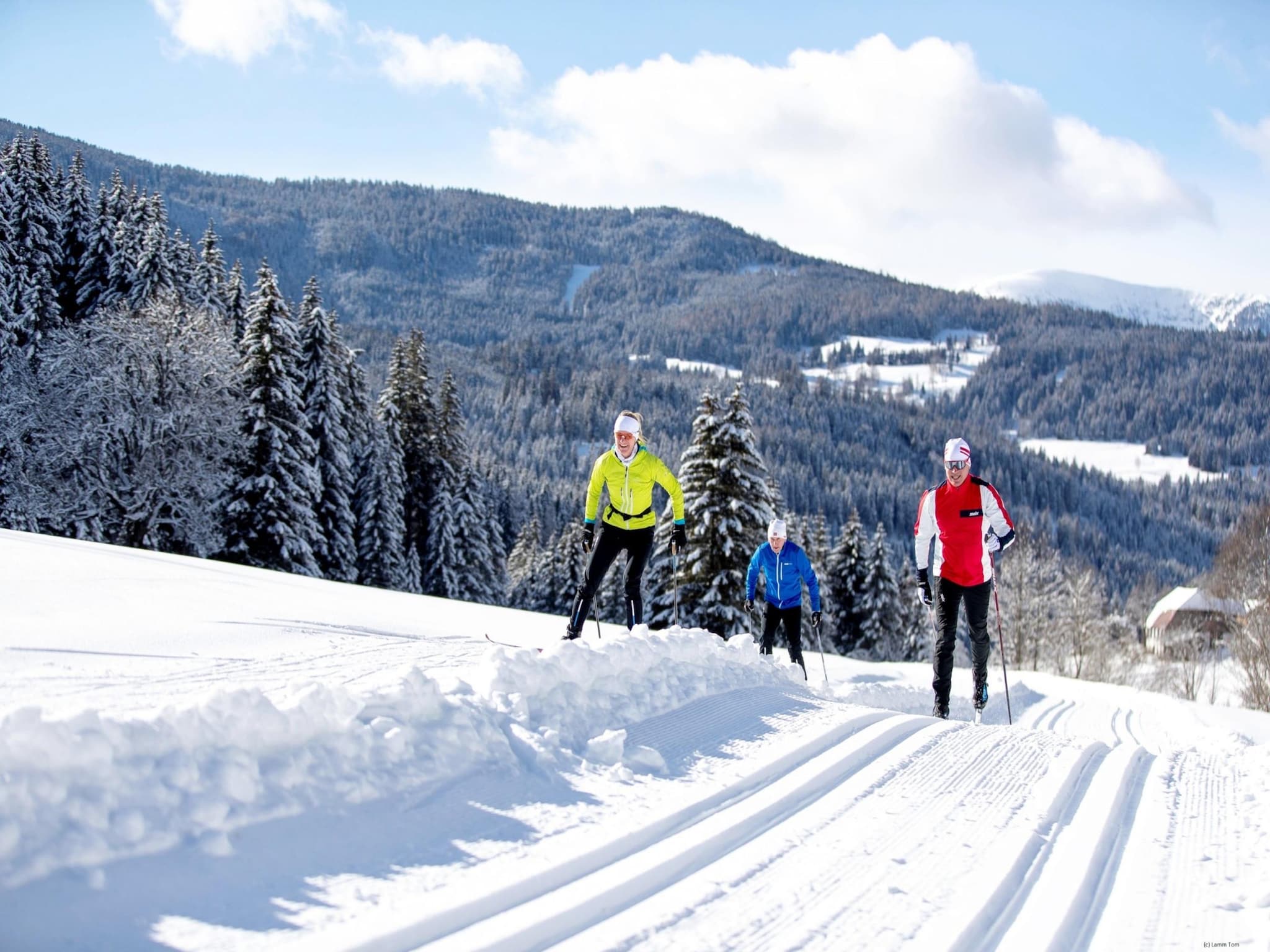 Feriebolig Alpenpark Turracherhöhe