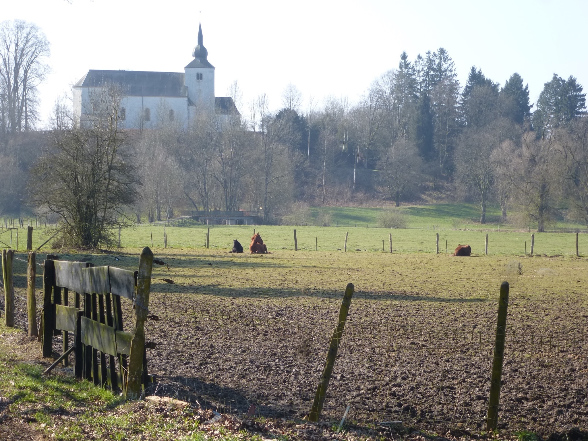 Vakantiehuis Le Pré en Bulles
