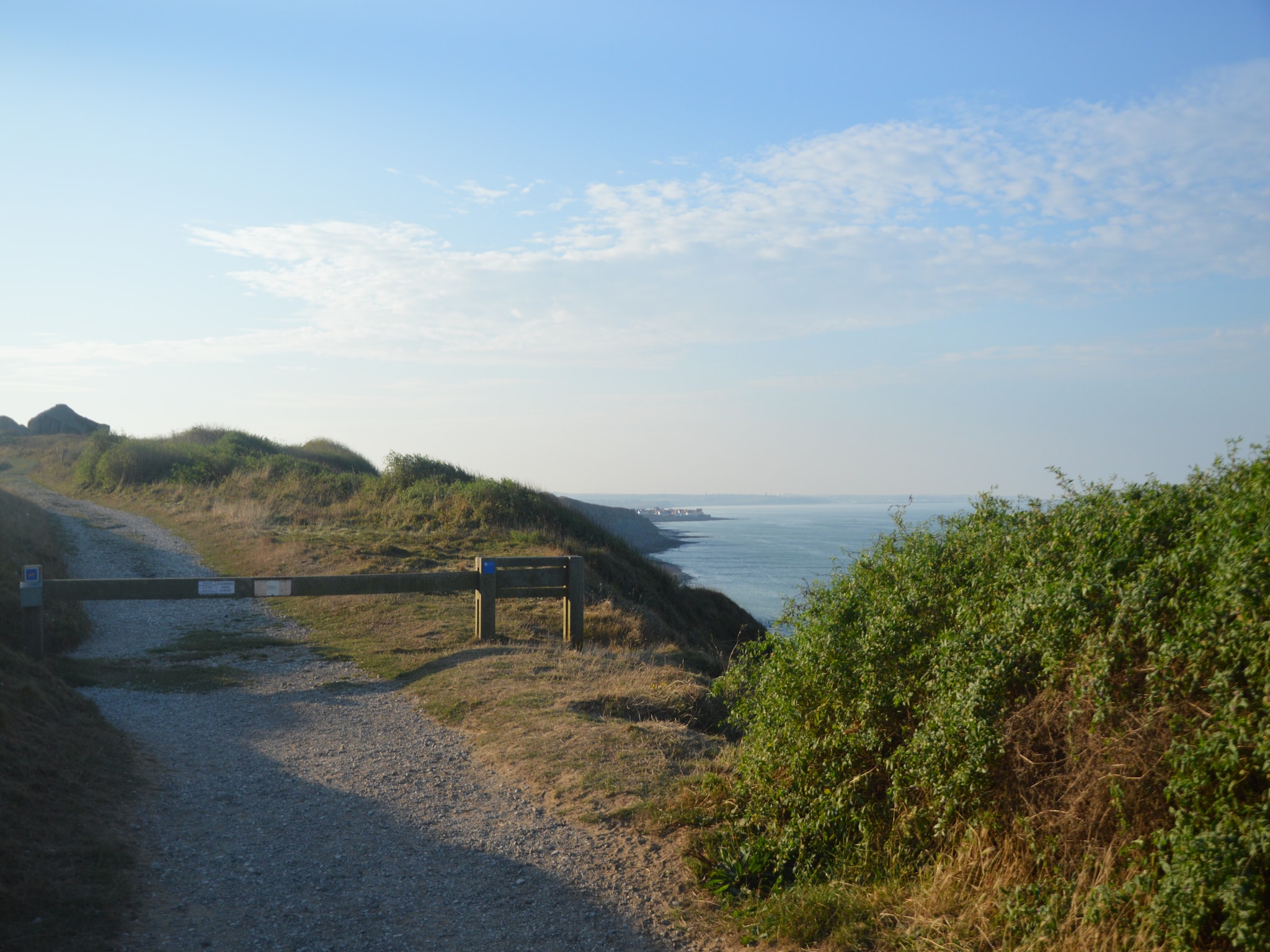   White Cliffs