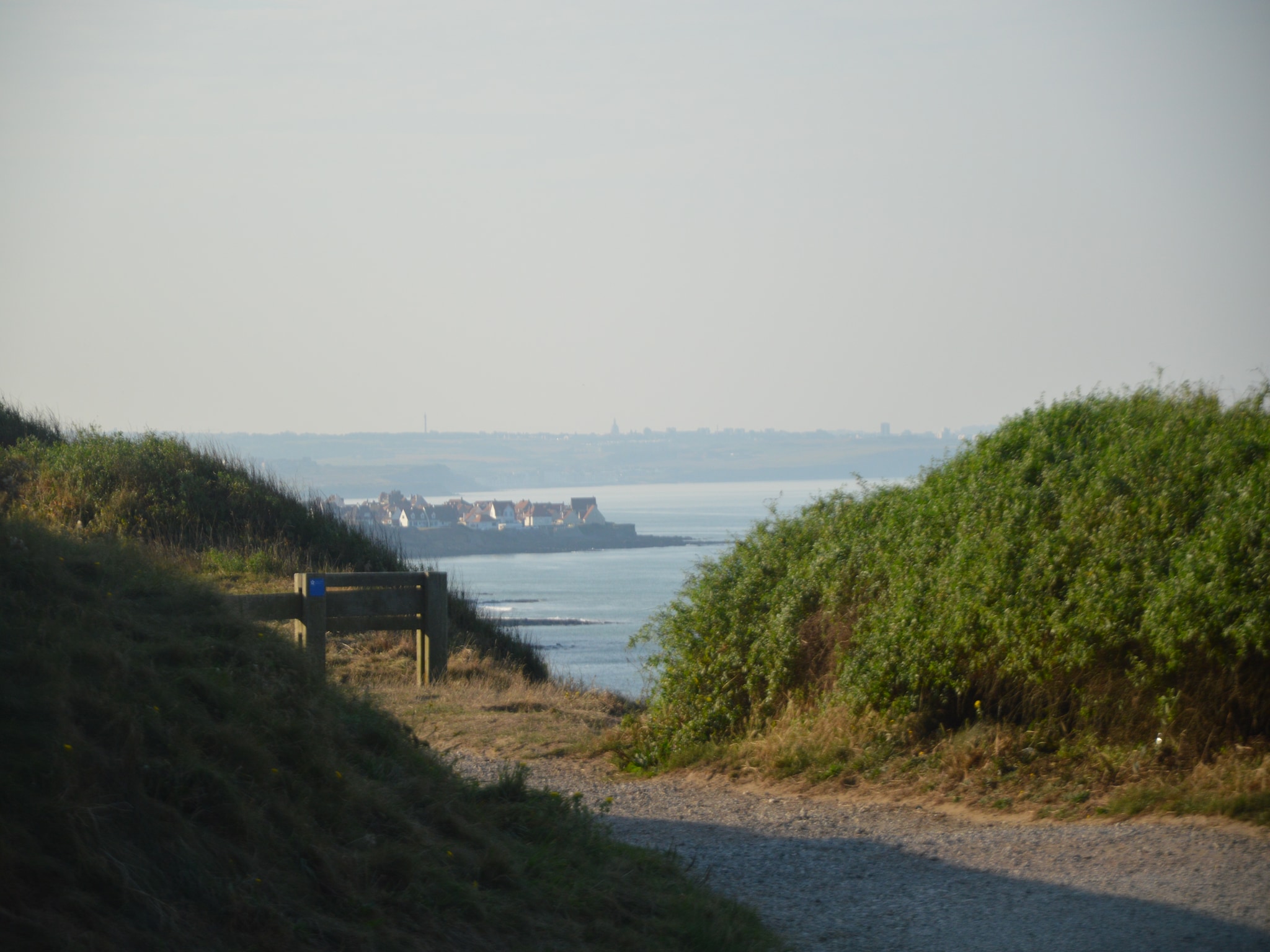   White Cliffs