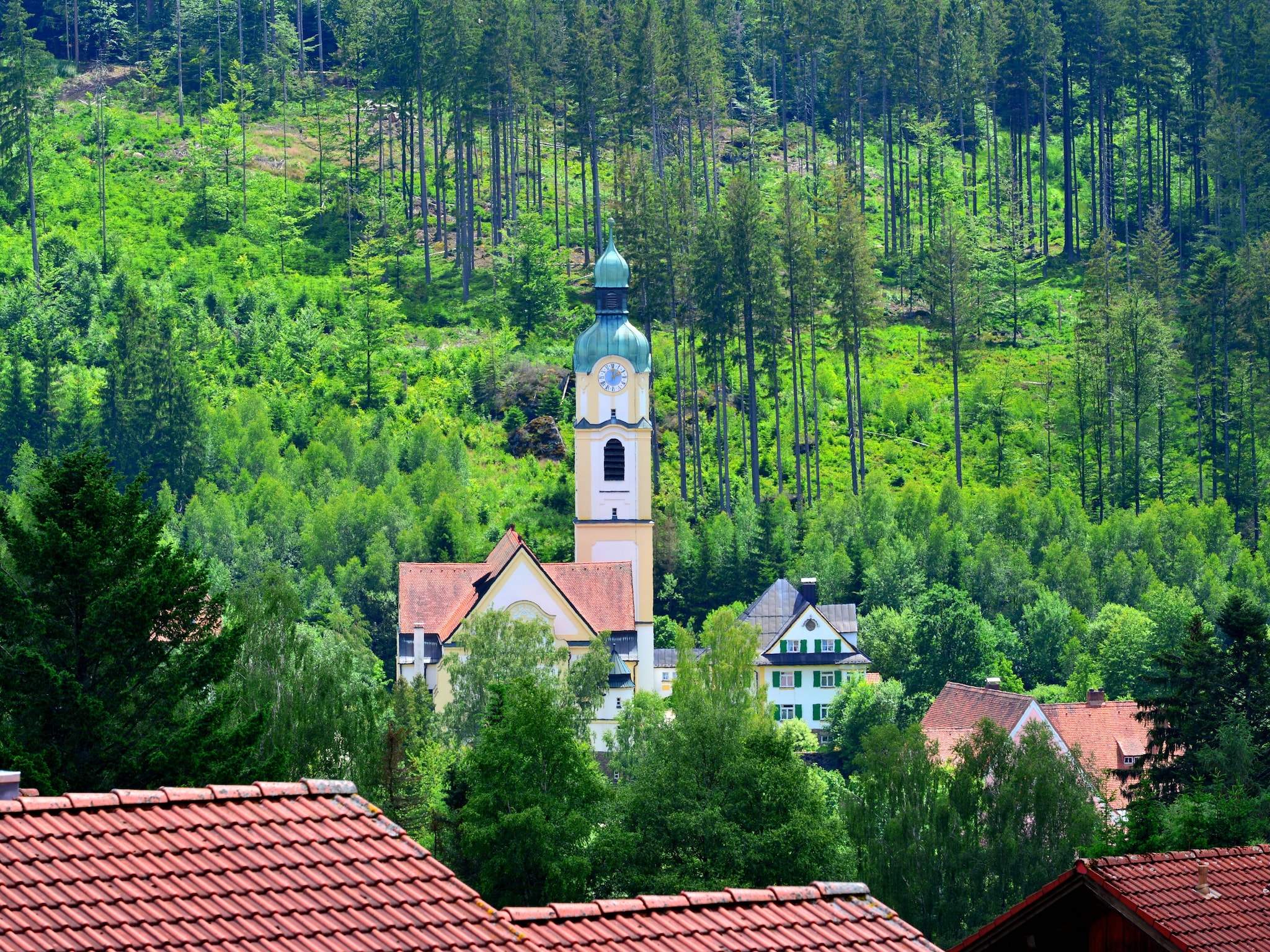 Ferienwohnung Bayerwald