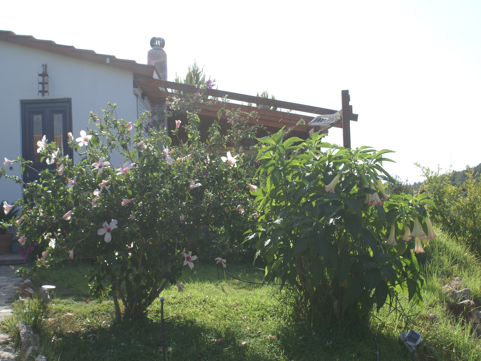   House Kritinia Rhodos
