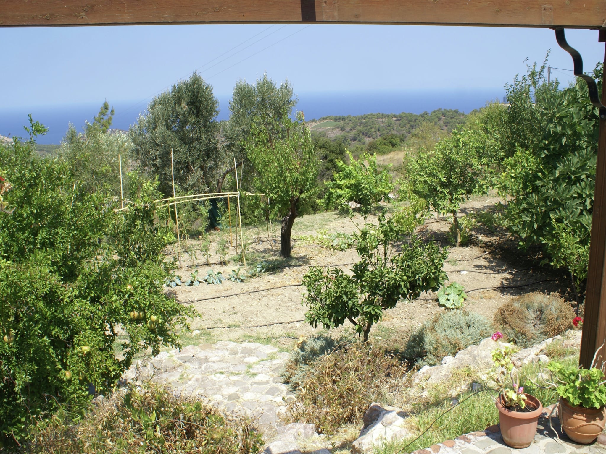   House Kritinia Rhodos