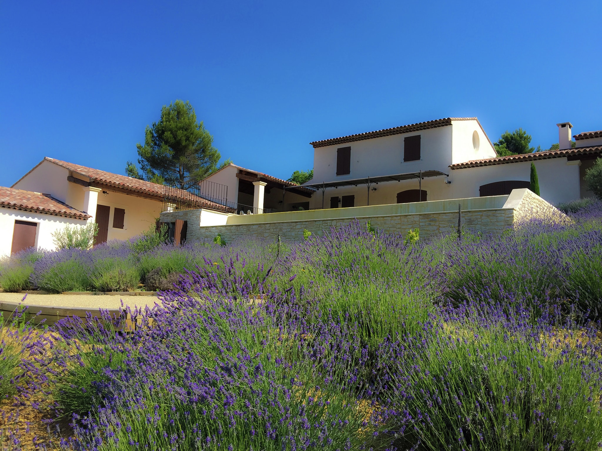 Ferienhaus La Colline de Rêve plus 4 gîtes