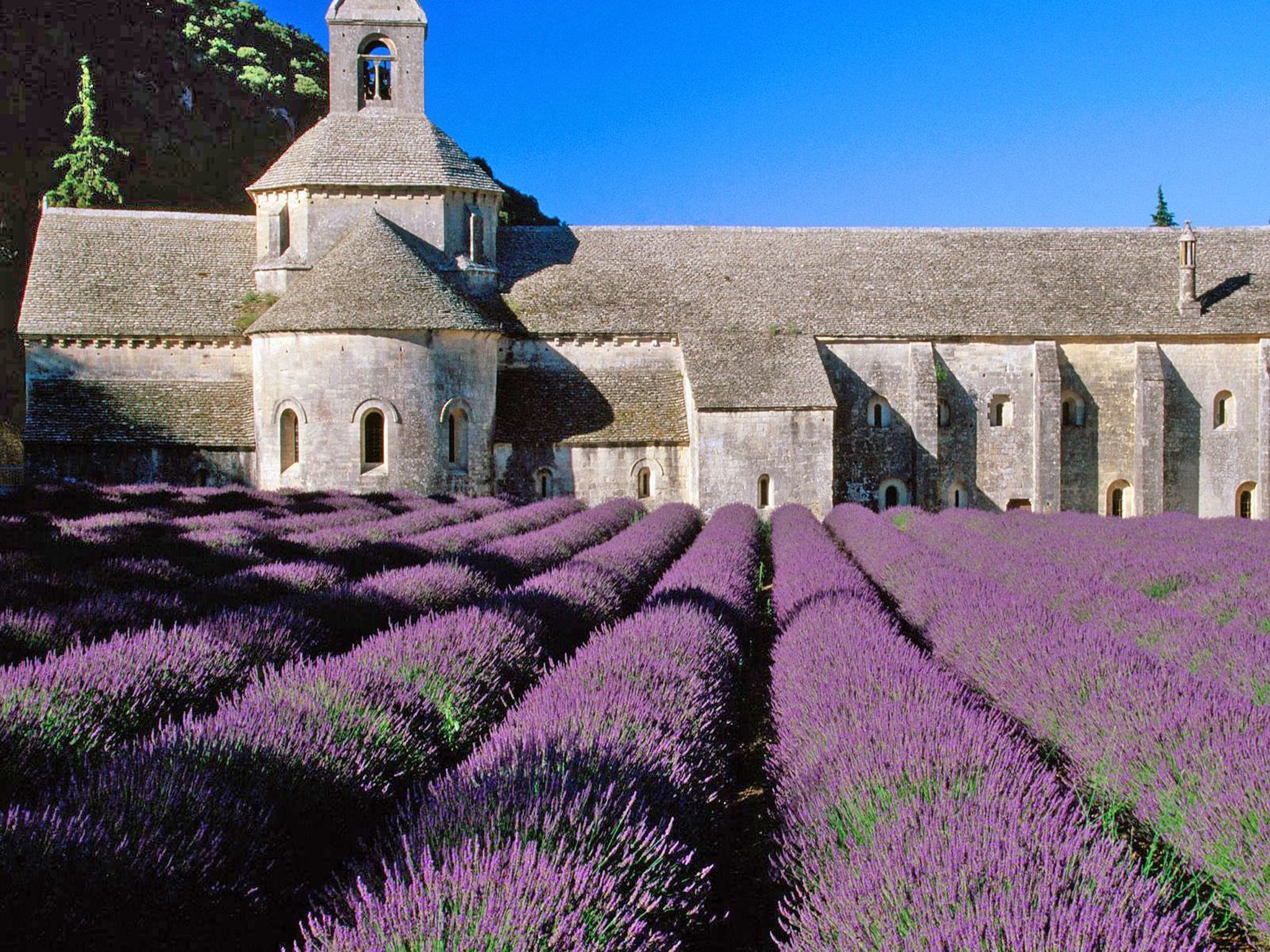 Ferienhaus La Colline de Rêve plus 4 gîtes