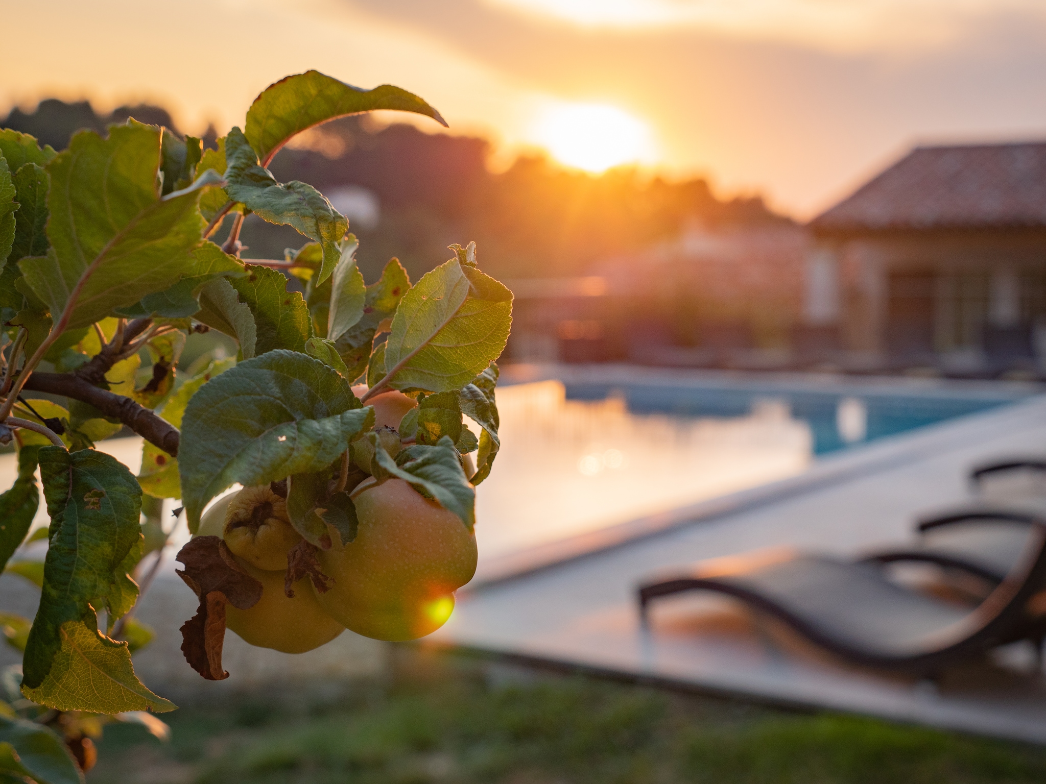 Ferienhaus La Colline de Rêve plus 4 gîtes