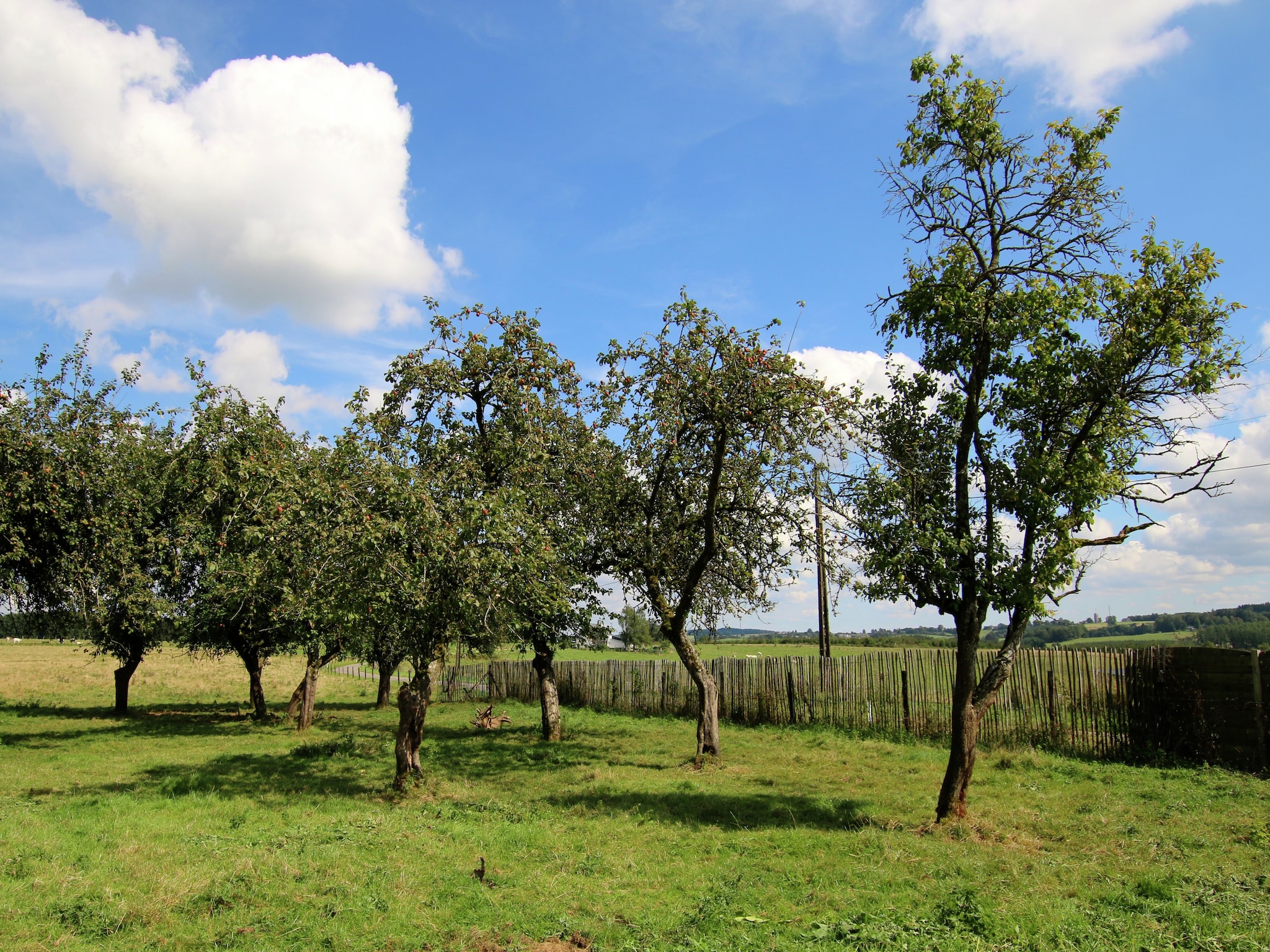   Gîte du Haut Chemin