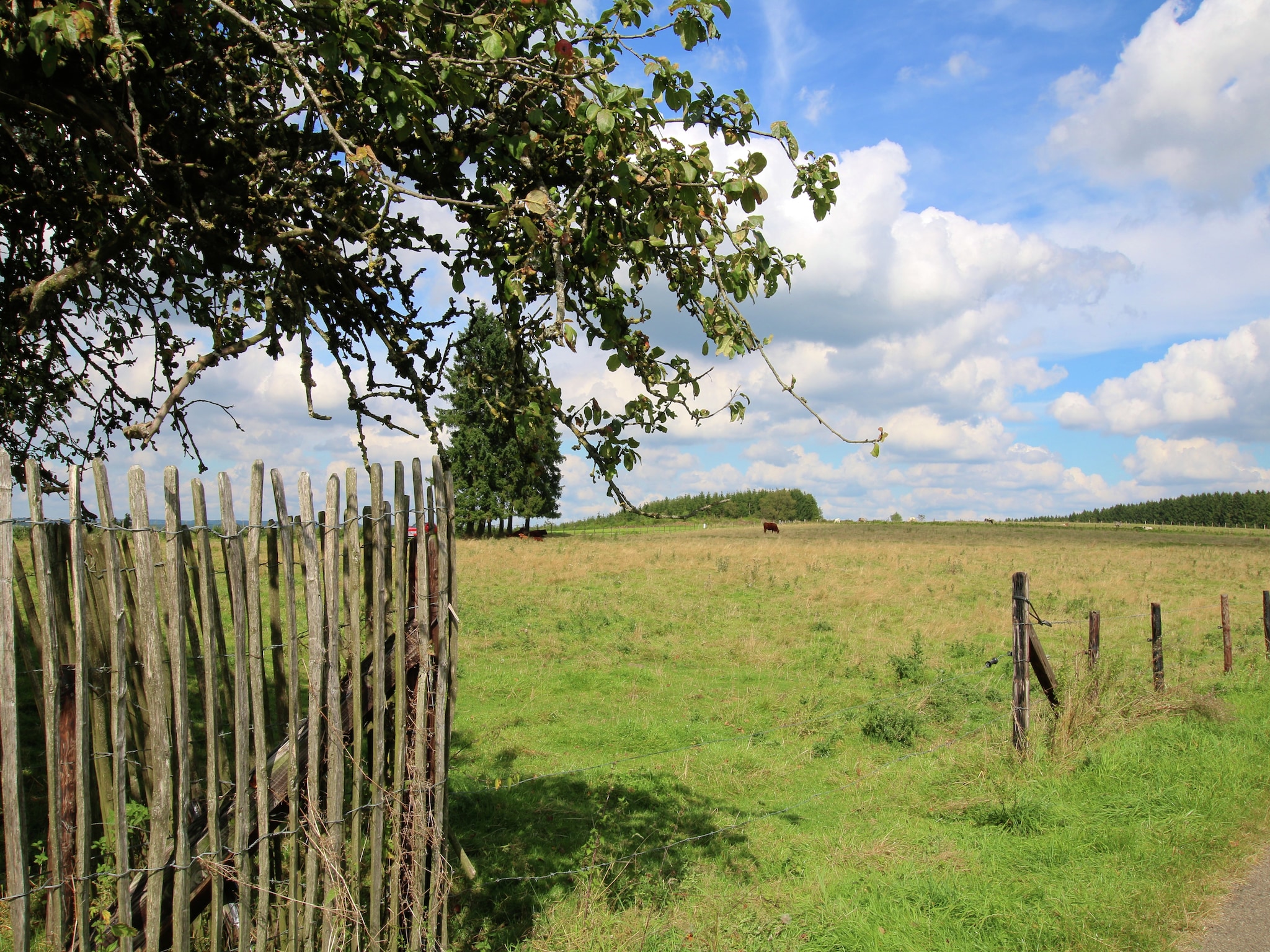   Gîte du Haut Chemin