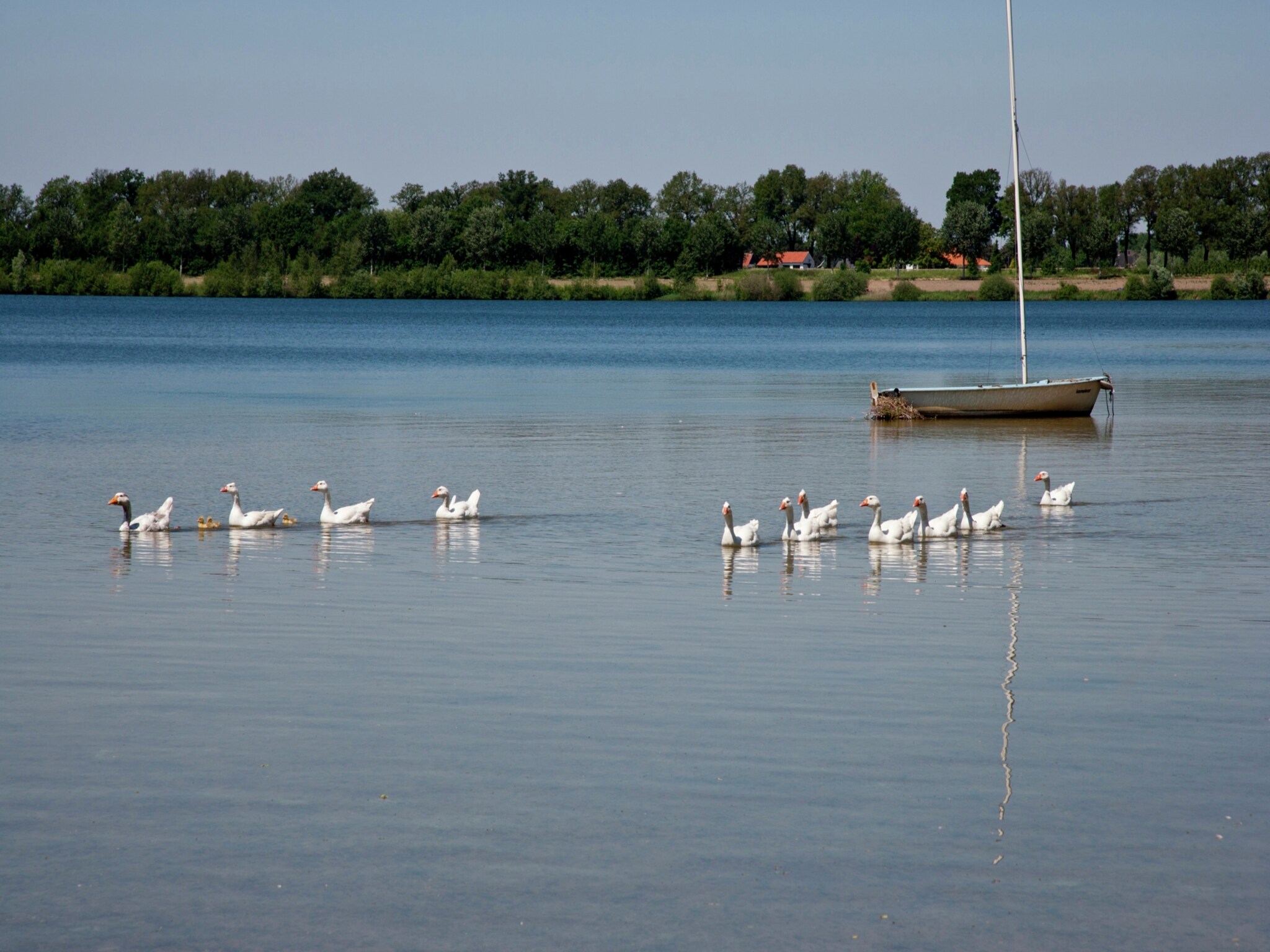  Maaspark Boschmolenplas