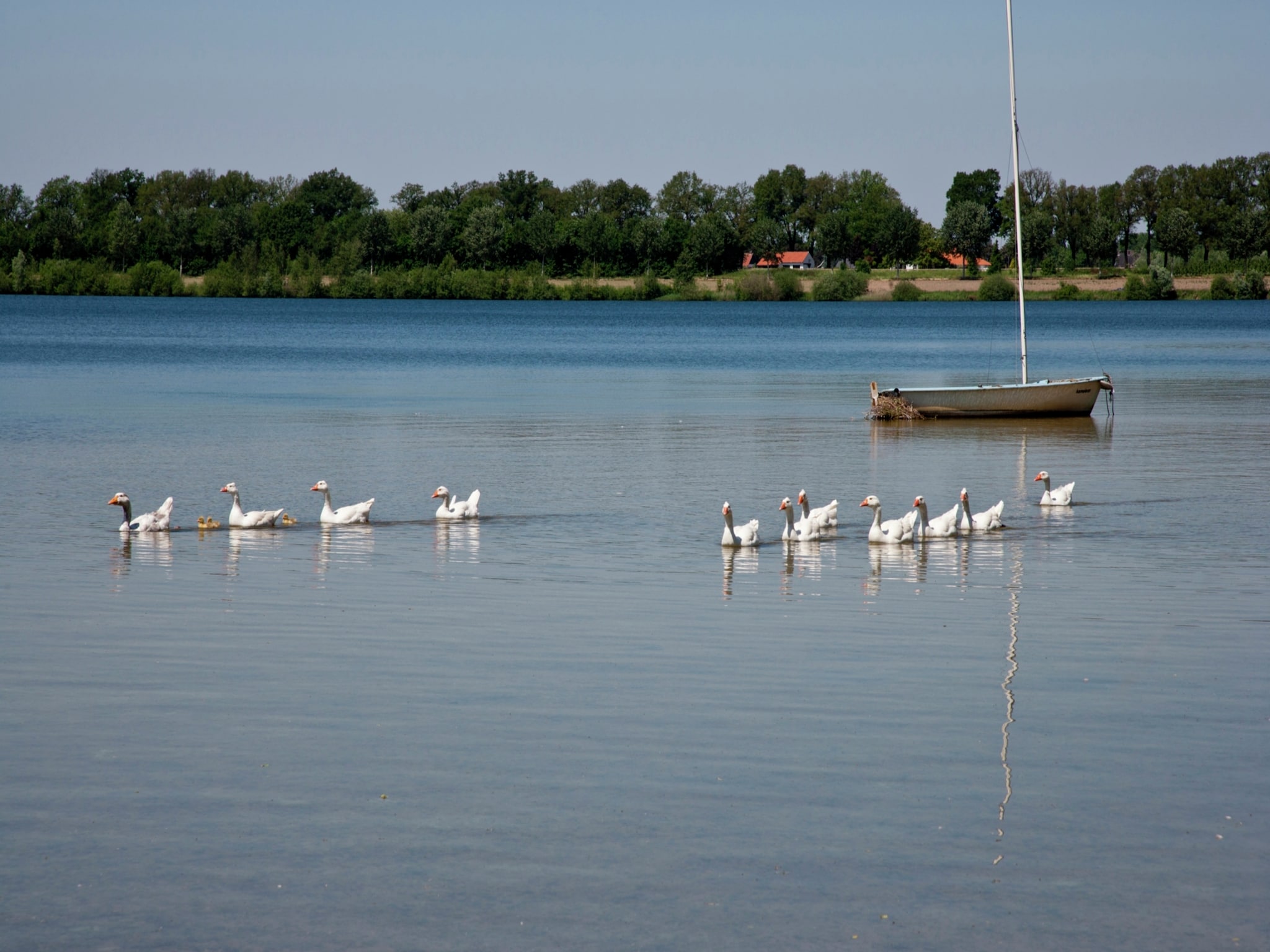   Maaspark Boschmolenplas 1
