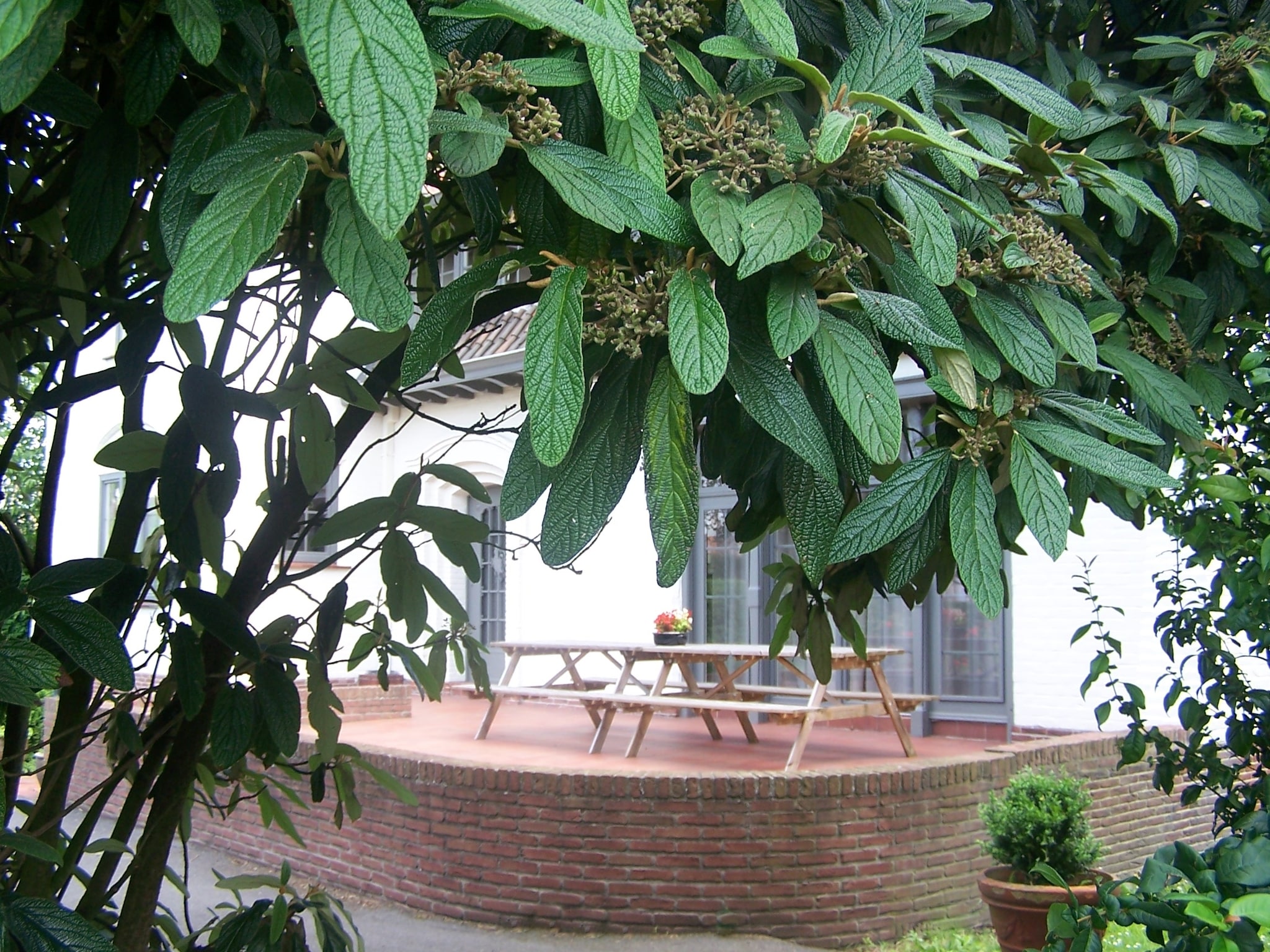 Ferienhaus Hommelhove